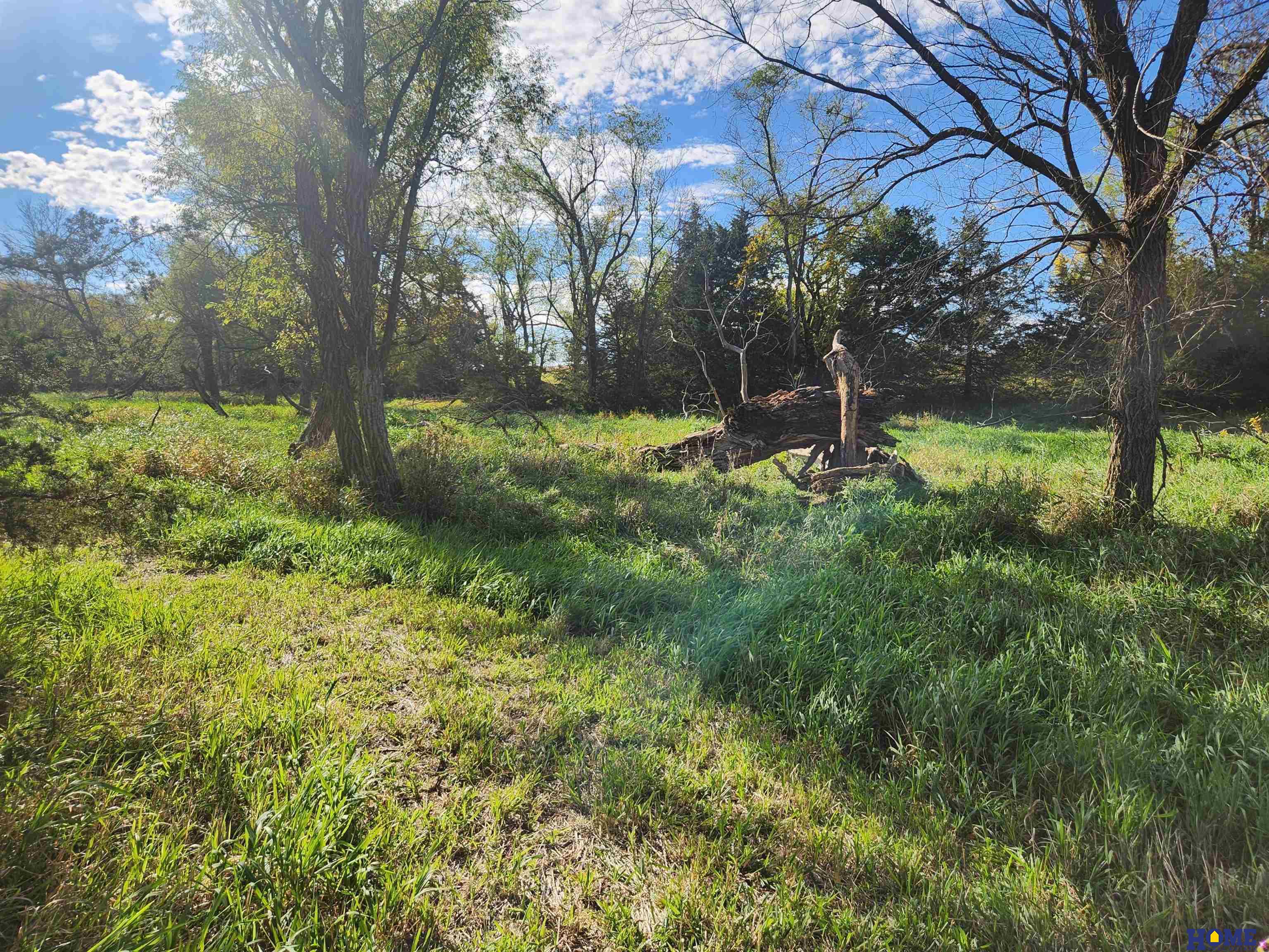 10430 S 33rd Street, Roca, Nebraska image 9