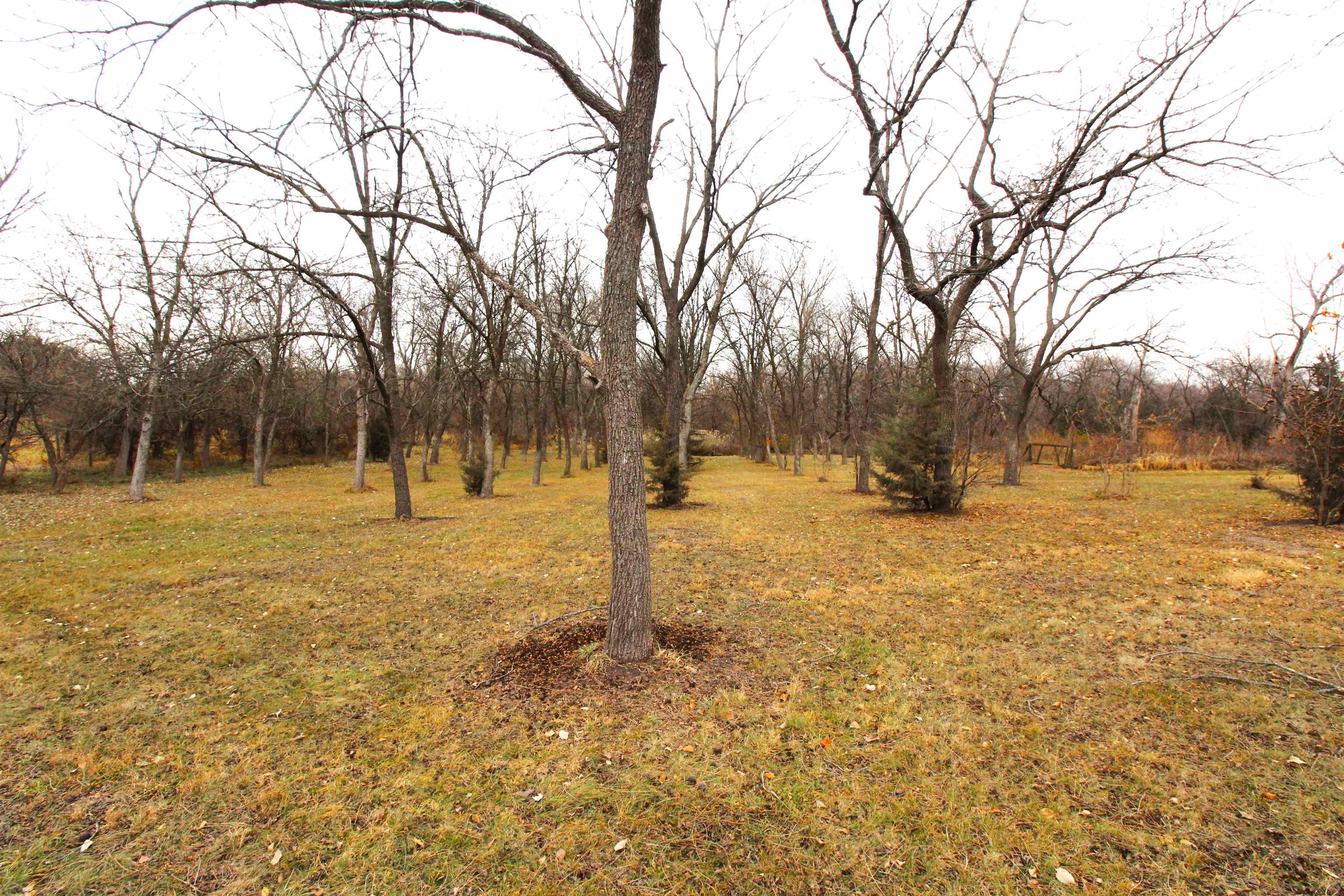 2600 W Saltillo Road, Martell, Nebraska image 48