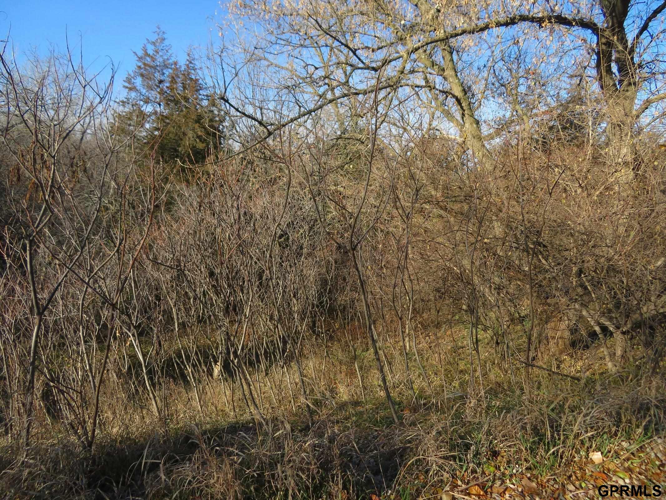 2933 Light Breeze Lane, Missouri Valley, Iowa image 11