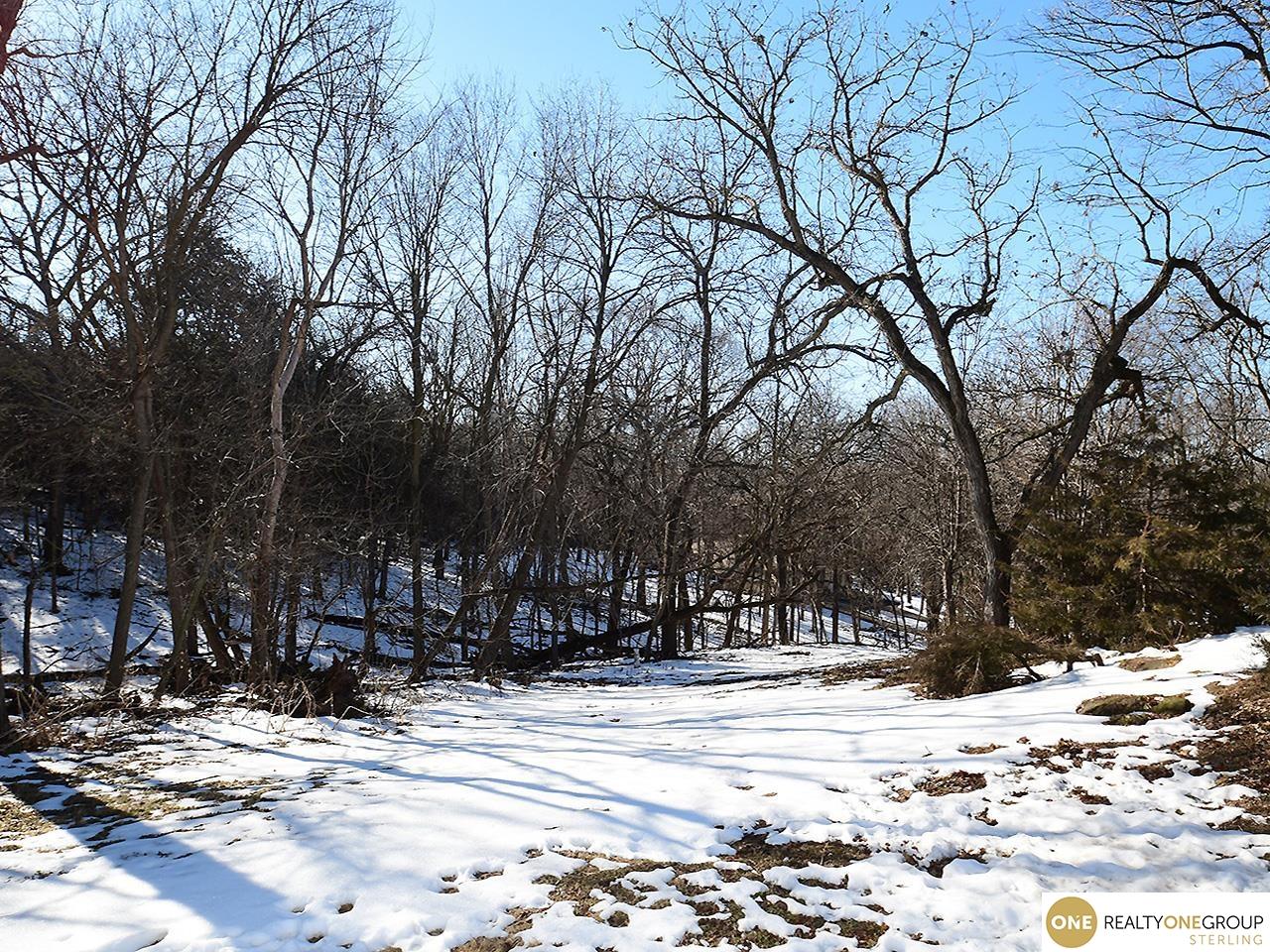 16007 Meadow Ridge Drive, Springfield, Nebraska image 35