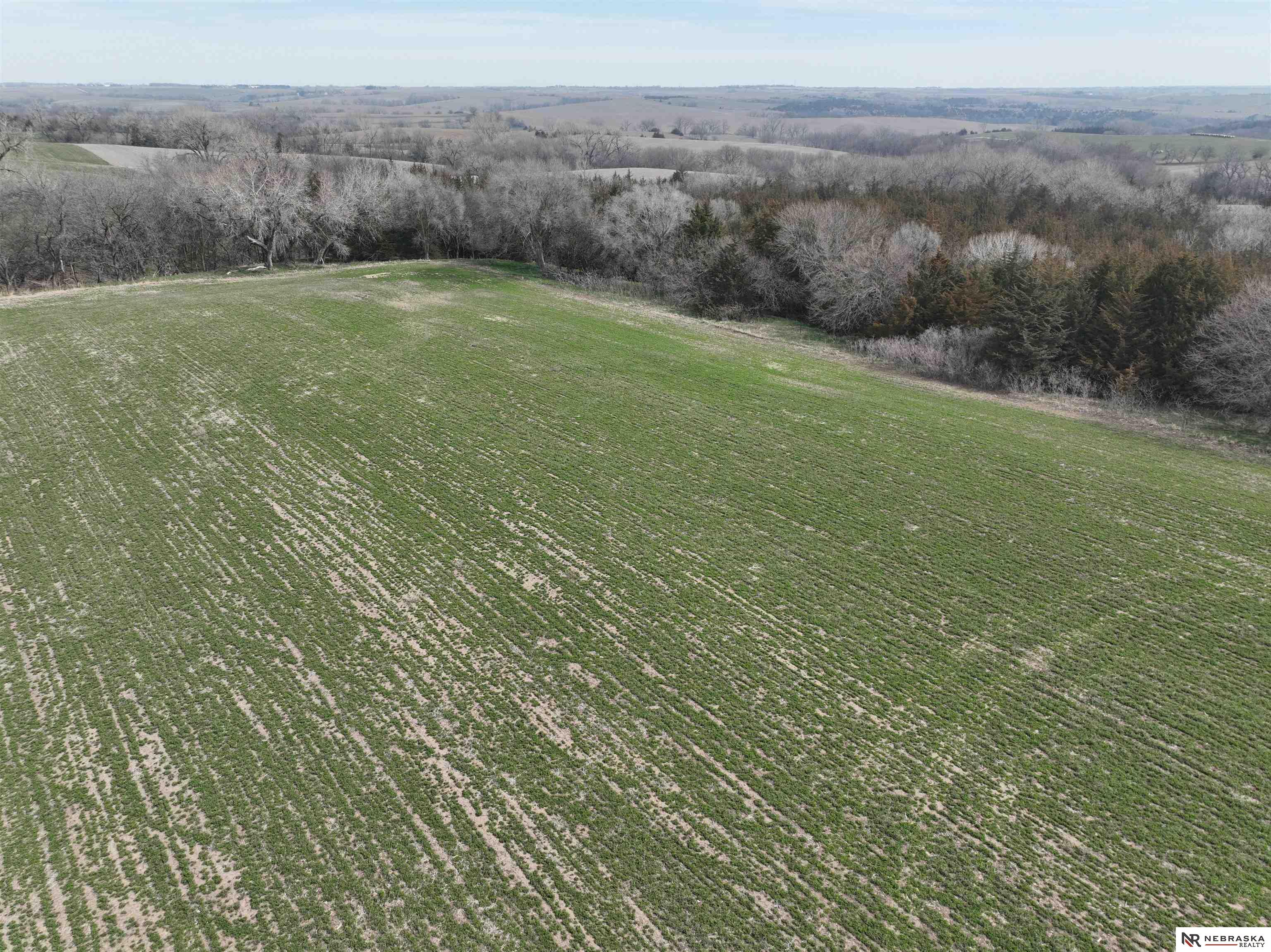 5 Indigo Lane #LOT 5, Dwight, Nebraska image 8