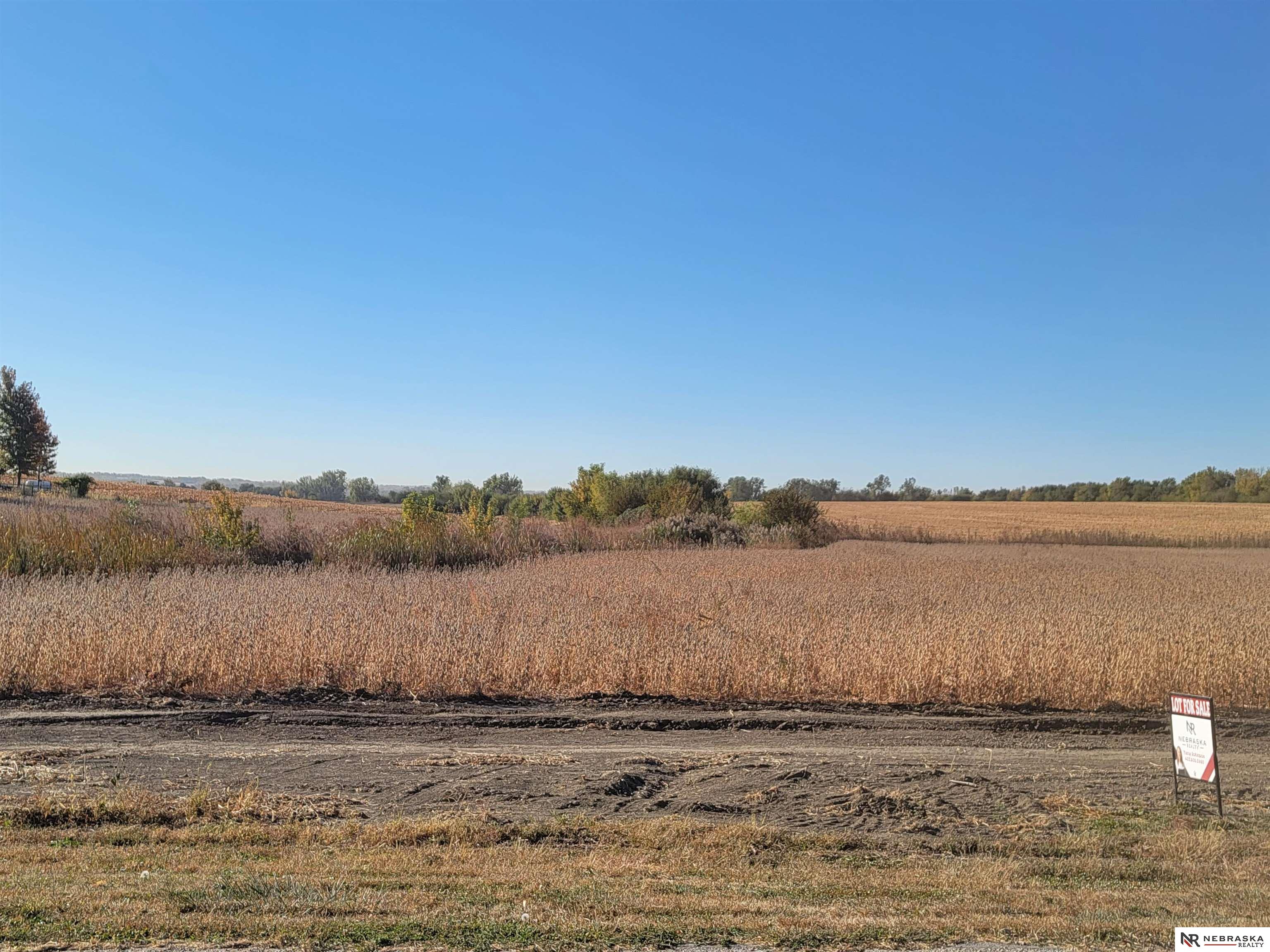 301 Ash Street, Ceresco, Nebraska image 4