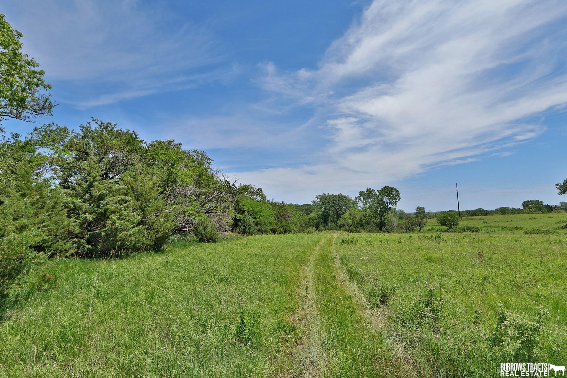 73732 610 Avenue, Sterling, Nebraska image 41