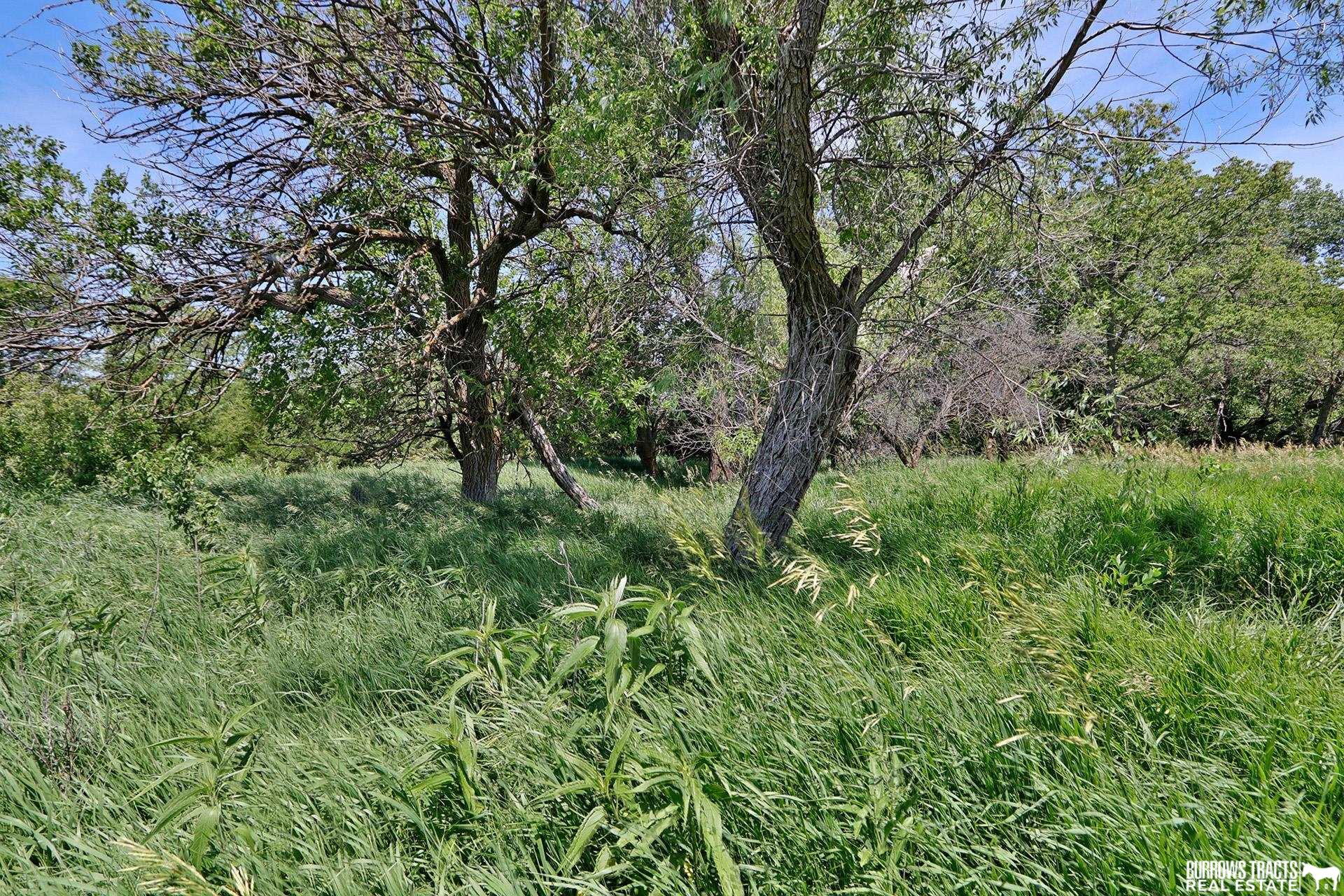 73732 610 Avenue, Sterling, Nebraska image 42