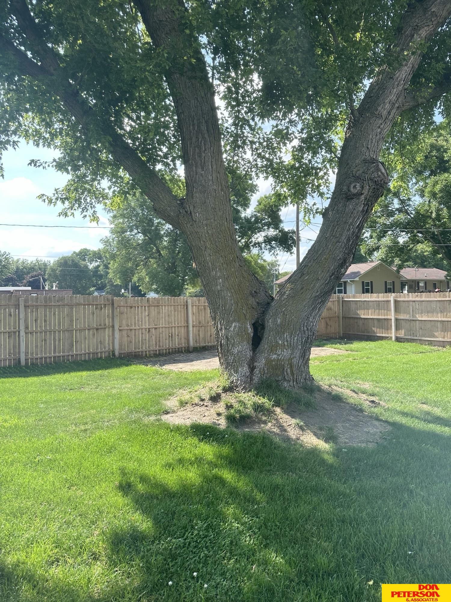 625 Everett Street, Lyons, Nebraska image 22