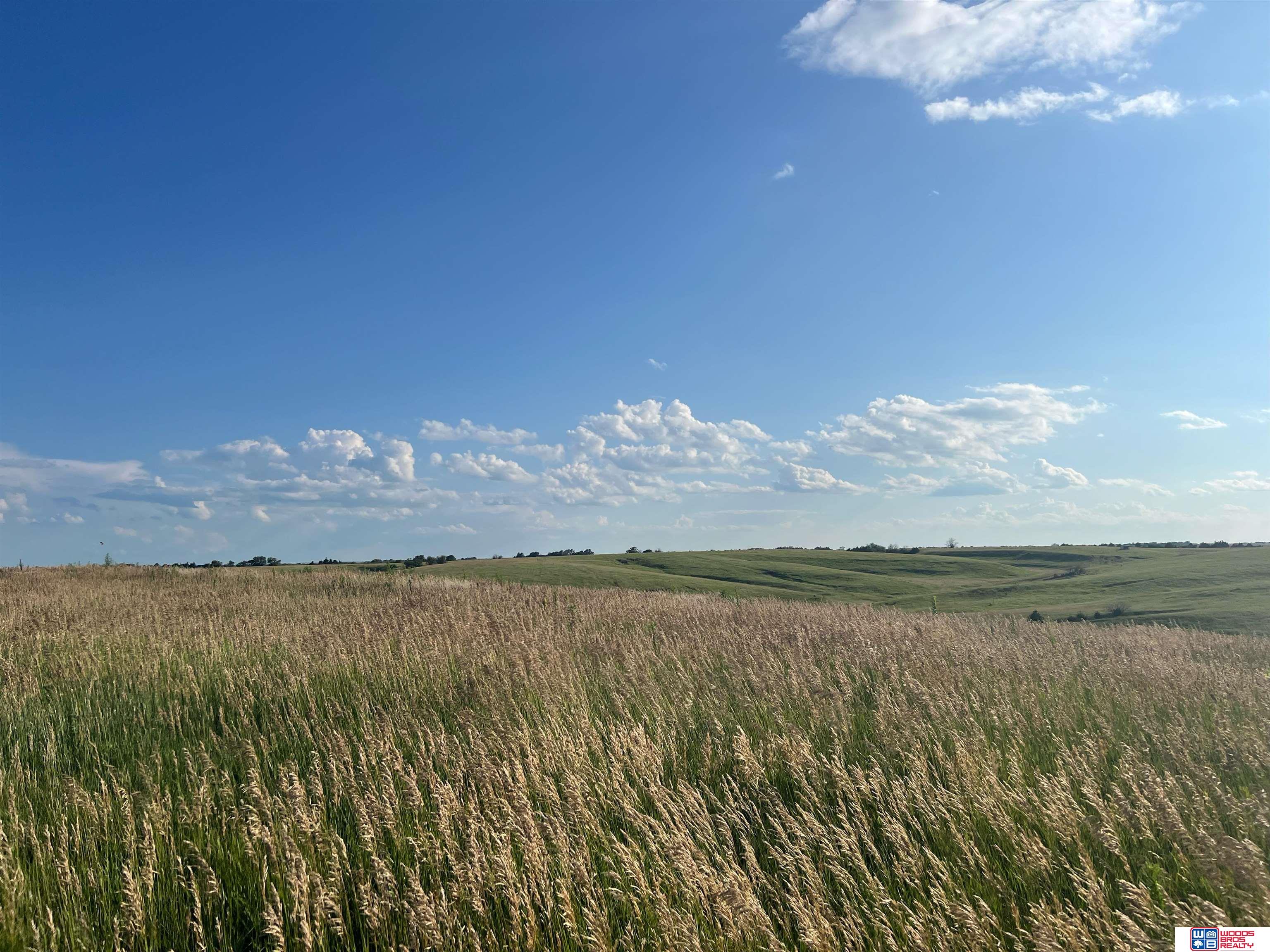 3146 Greta Drive, Roca, Nebraska image 4