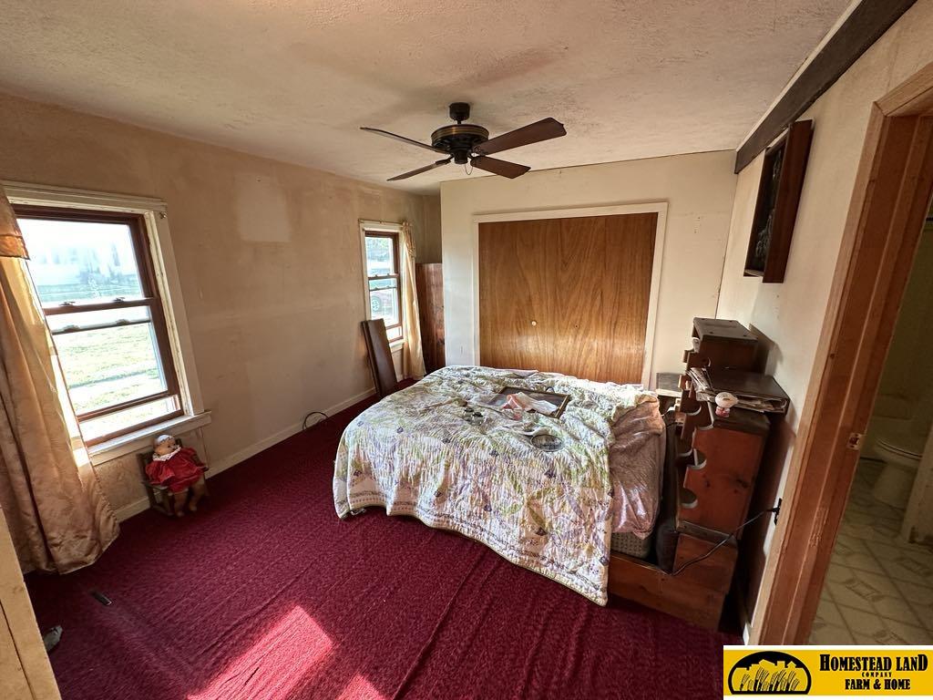 204 S 11th Street, Wymore, Nebraska image 4