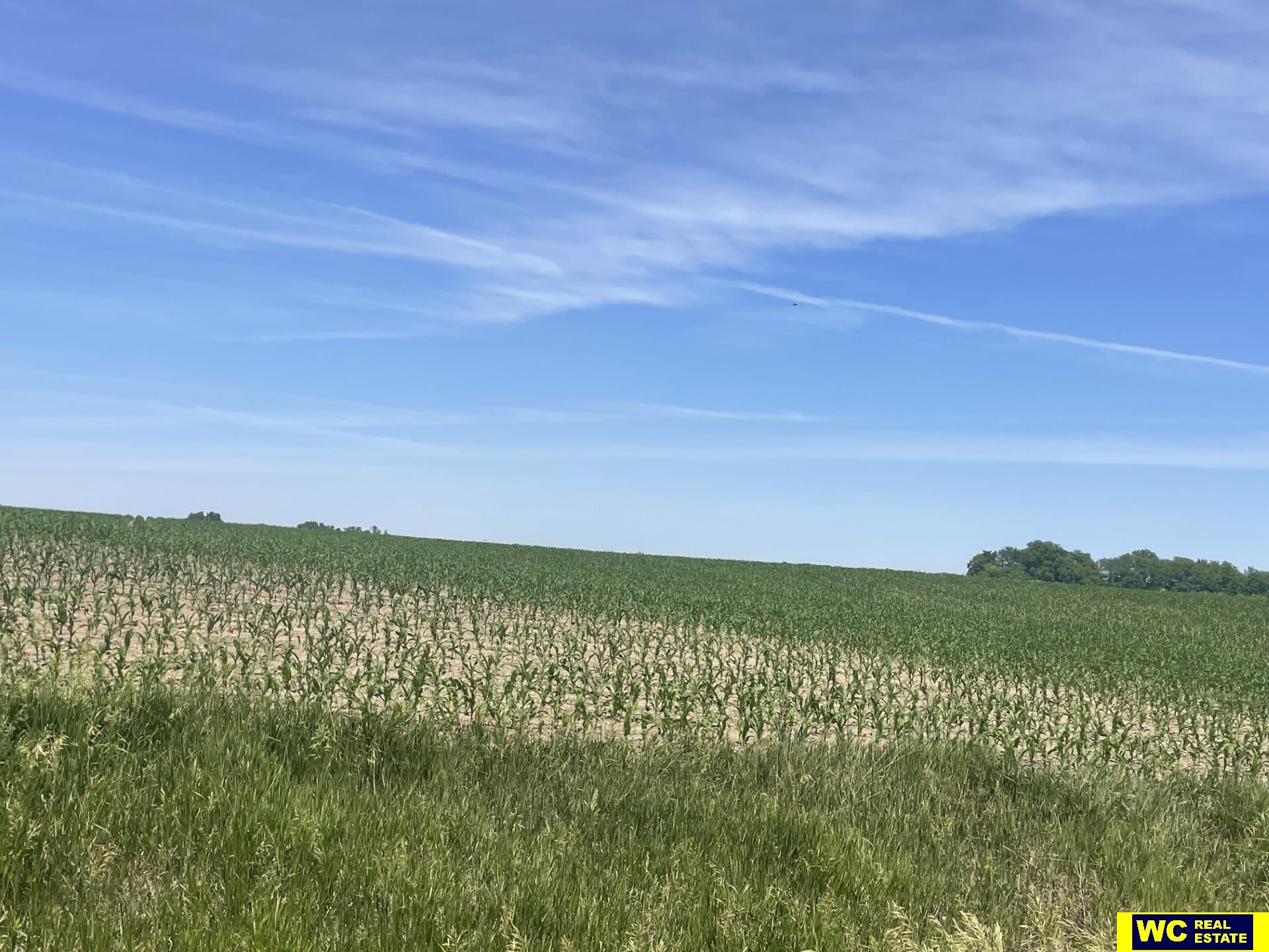 No Situs County Road 38, Blair, Nebraska image 1