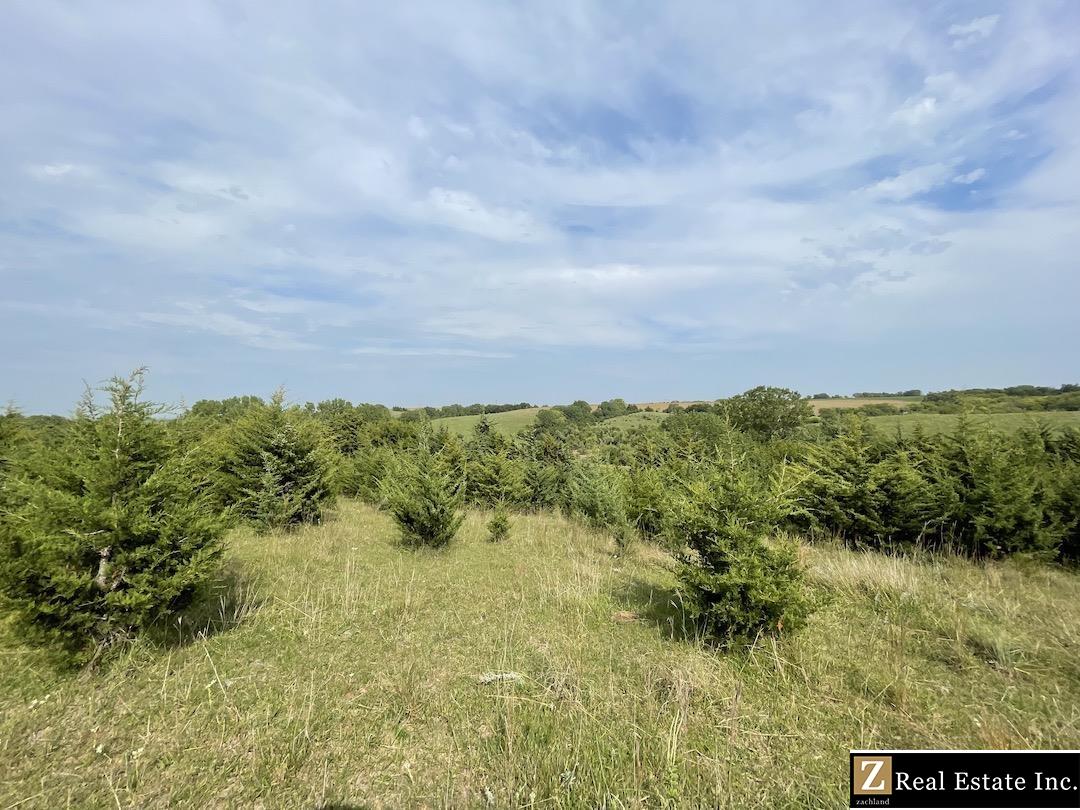 Aspen Estates Lot 8, David City, Nebraska image 20