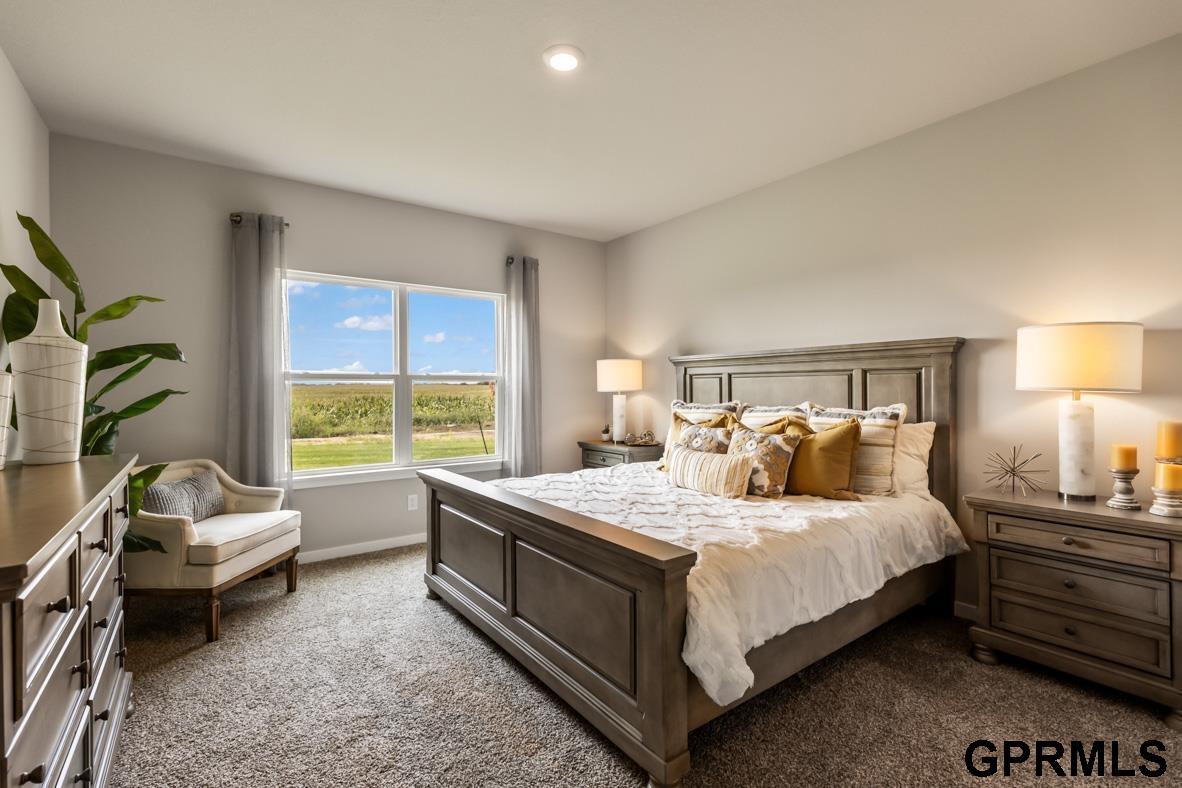6415 Harvest Drive, Papillion, Nebraska image 12