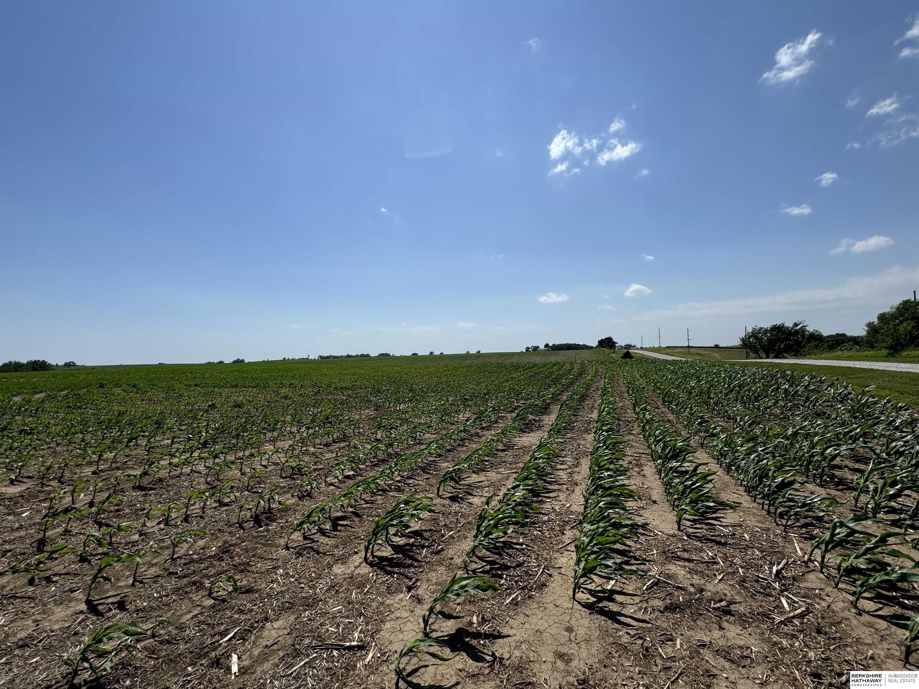 1205 Highway 51, Lyons, Nebraska image 12