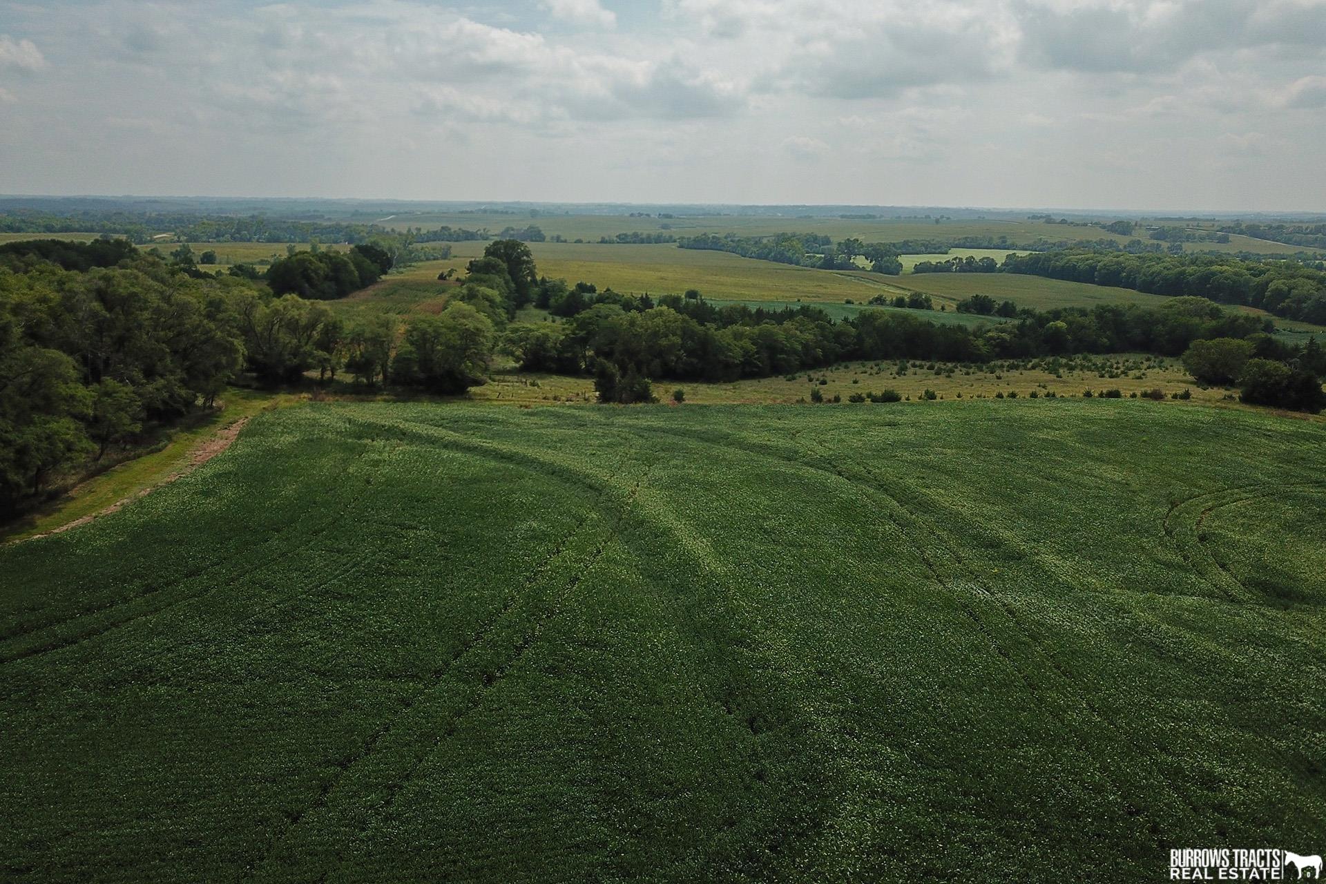 133.10 AC N 14th Road, Palmyra, Nebraska image 9