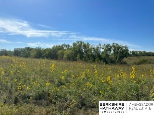 573 154, Pleasant Dale, Nebraska image 7
