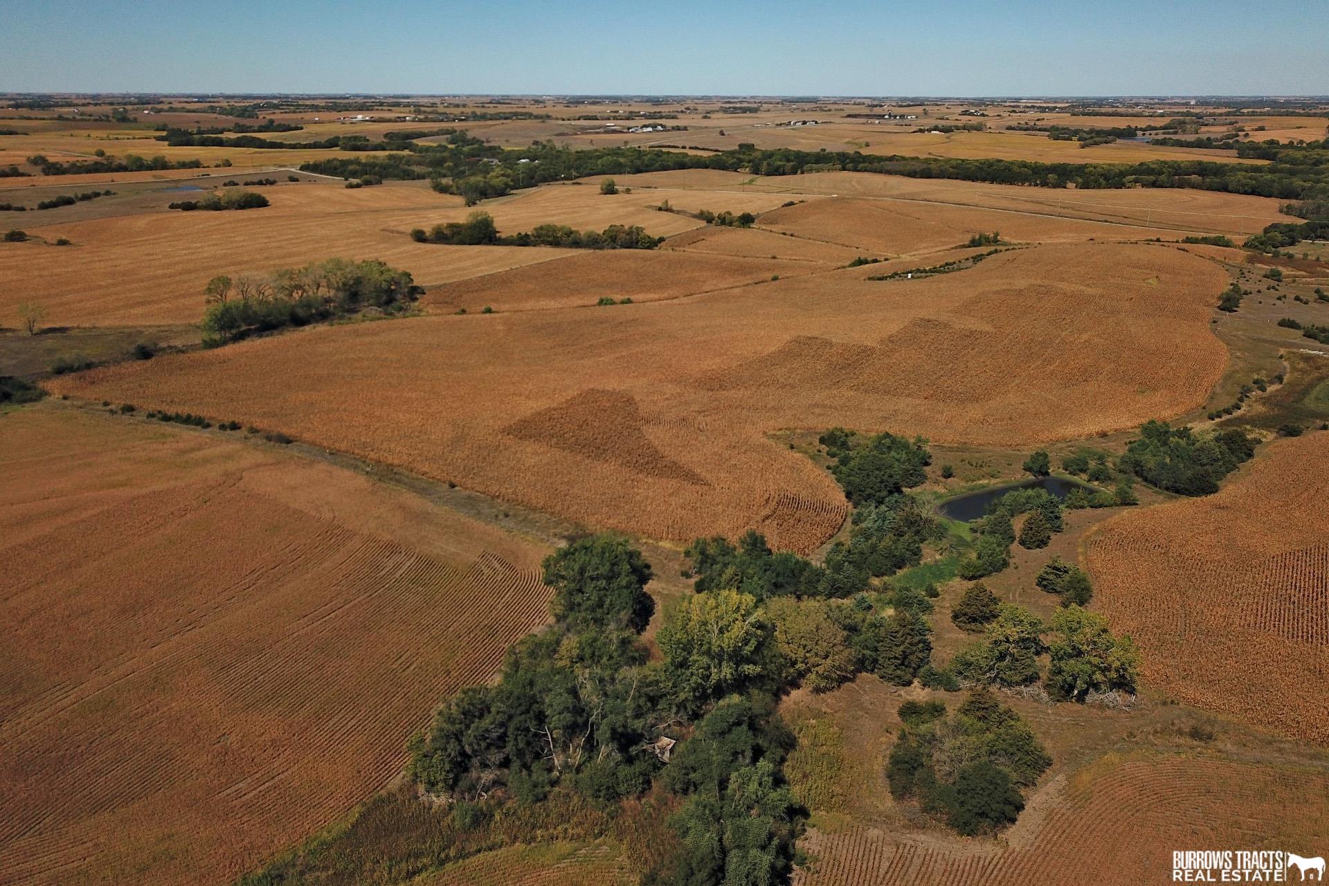 75 +/- Acres East Birch Road, Adams, Nebraska image 11