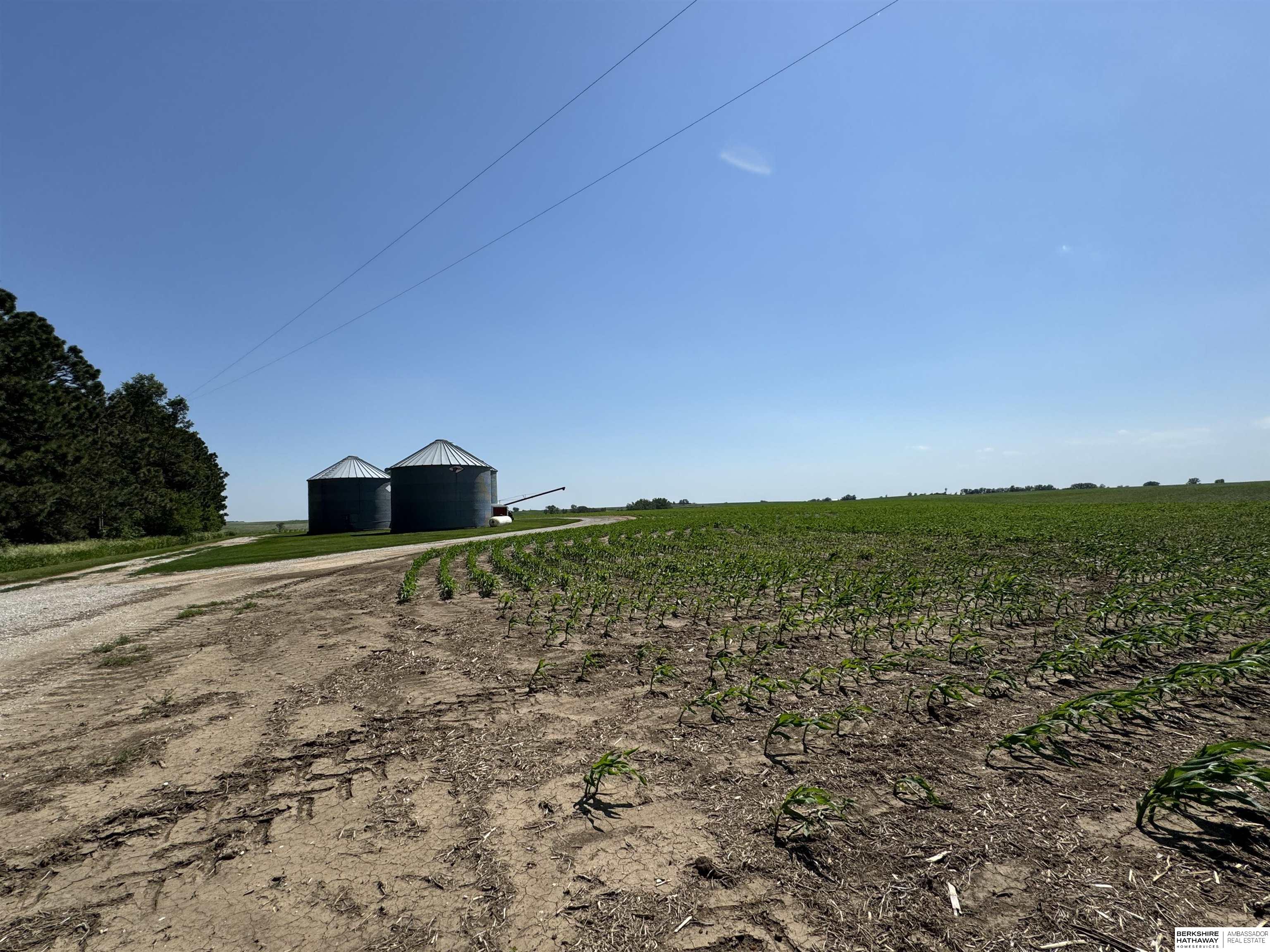 1205 Highway 51, Lyons, Nebraska image 11