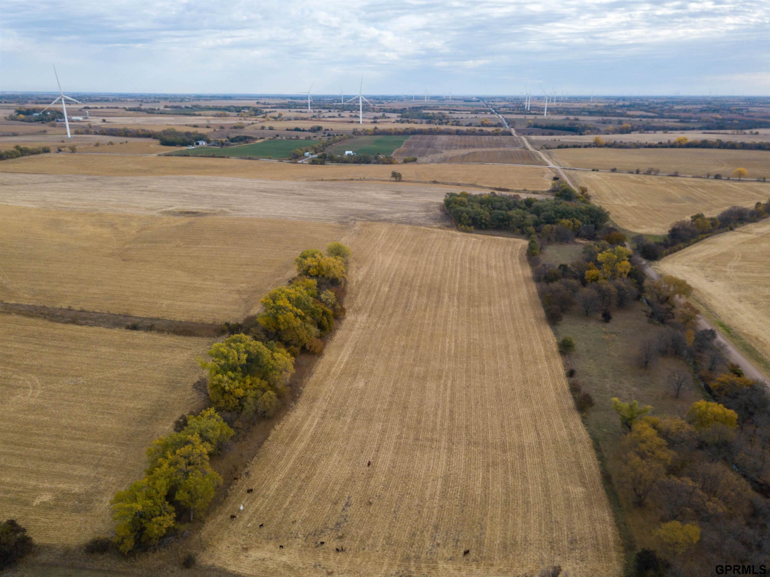 Co Rd M & Co Rd 600 Road, Milligan, Nebraska image 7