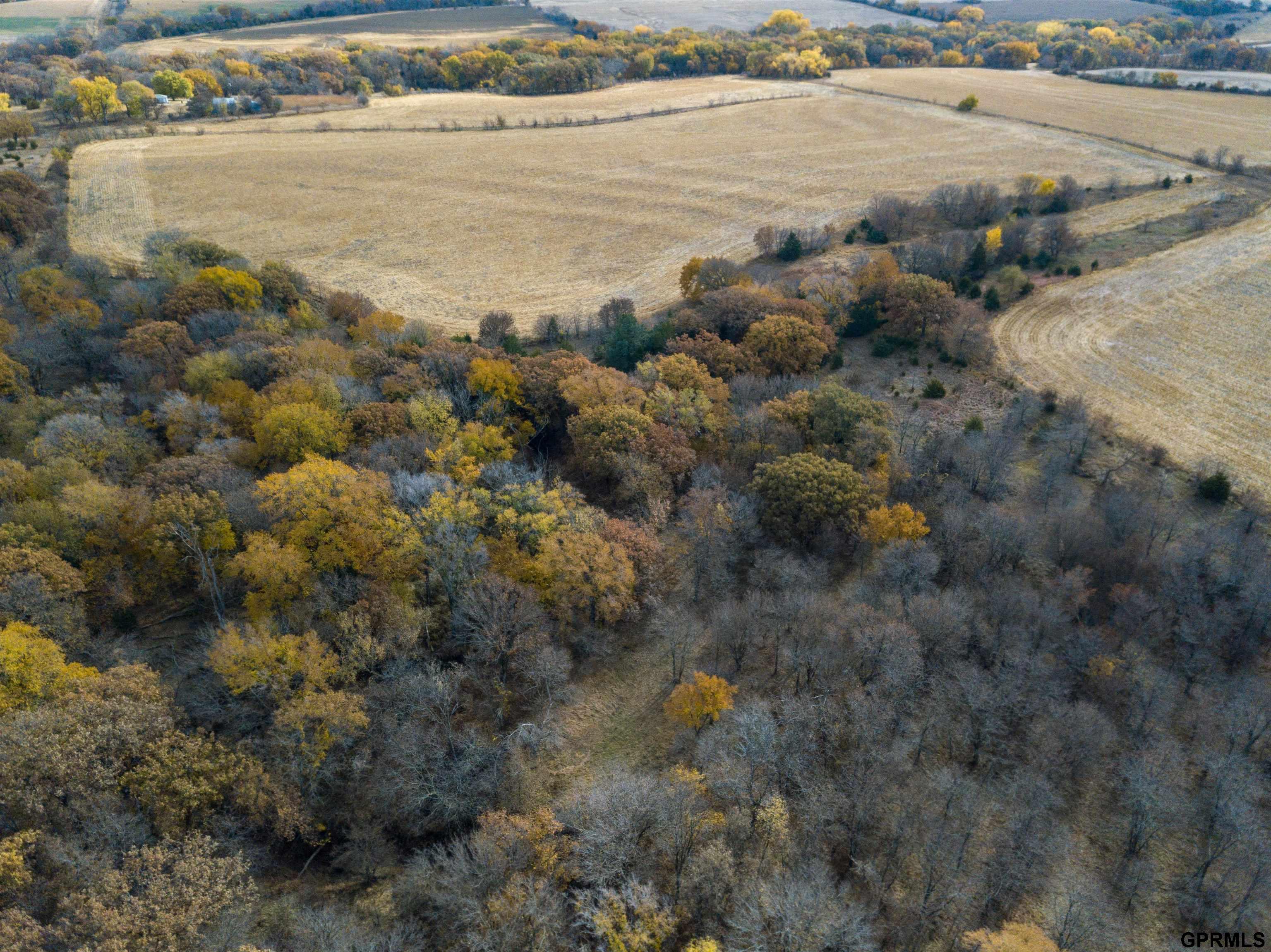 801 County Road 900 Road, Friend, Nebraska image 7