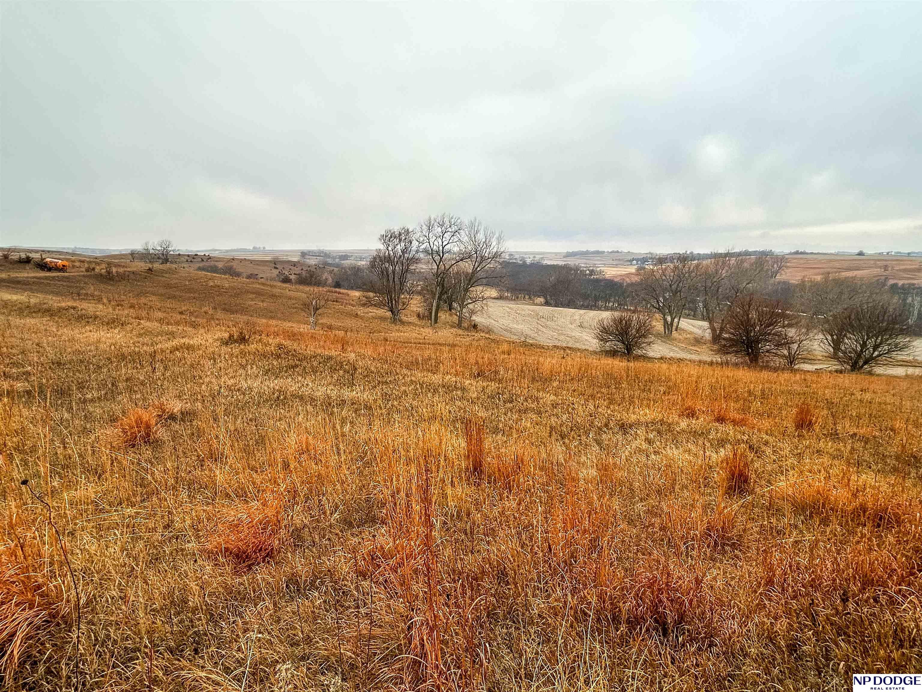 33 Acres Co Rd 14, Blair, Nebraska image 20