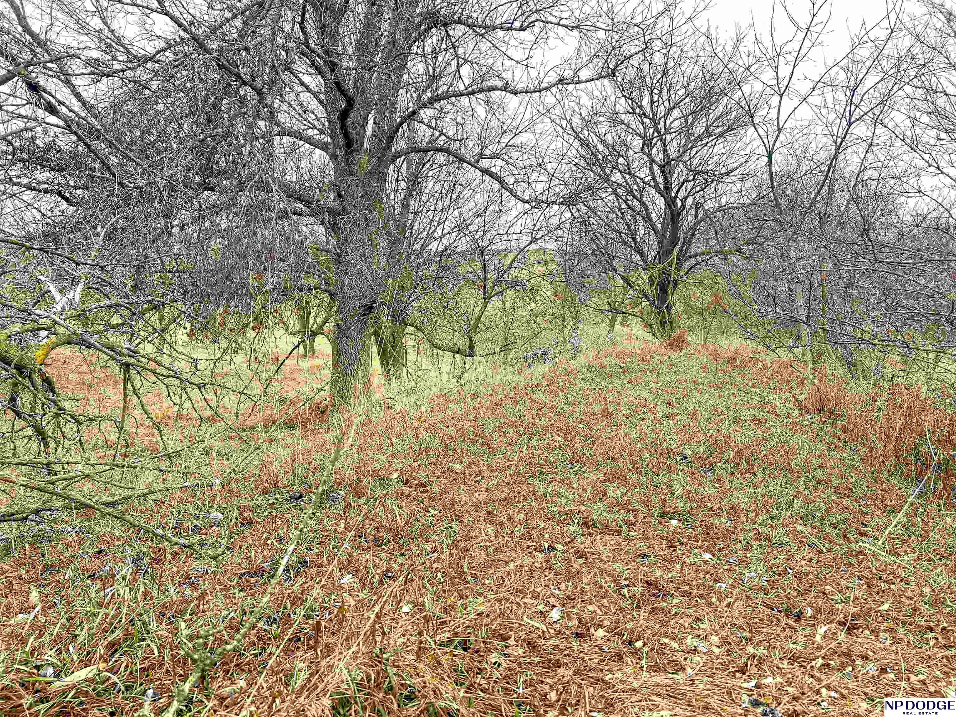 33 Acres Co Rd 14, Blair, Nebraska image 22