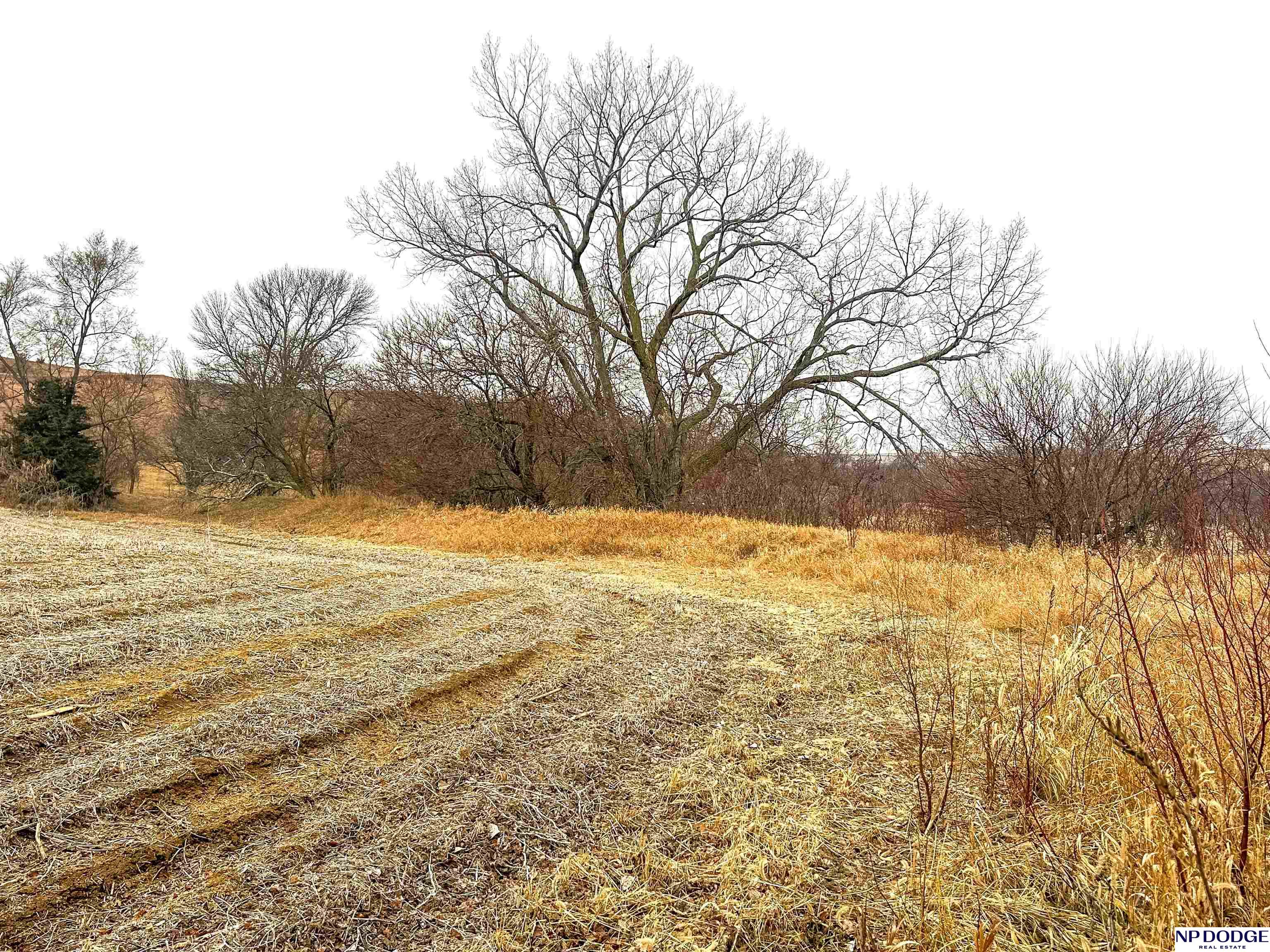 33 Acres Co Rd 14, Blair, Nebraska image 24