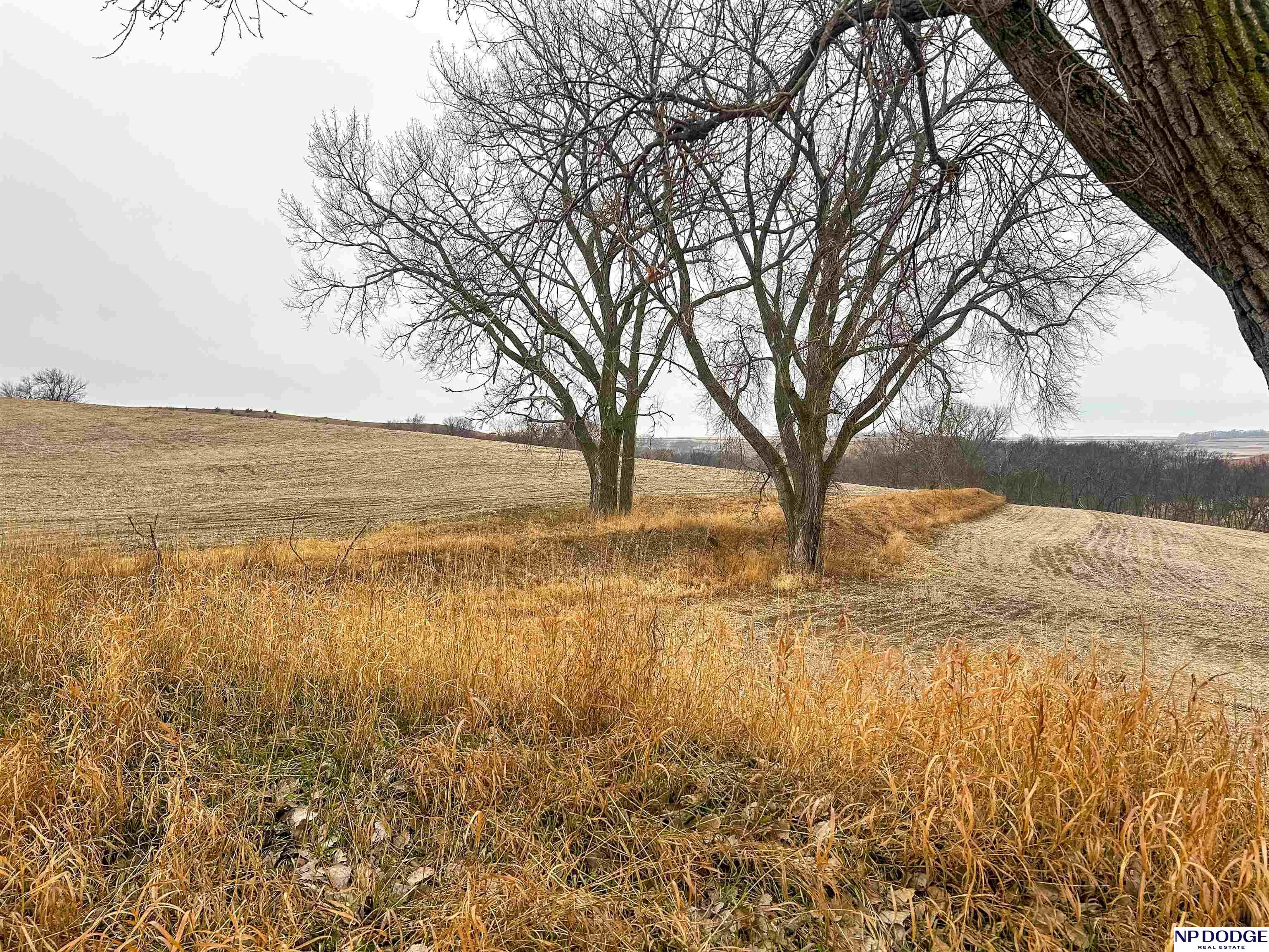33 Acres Co Rd 14, Blair, Nebraska image 26