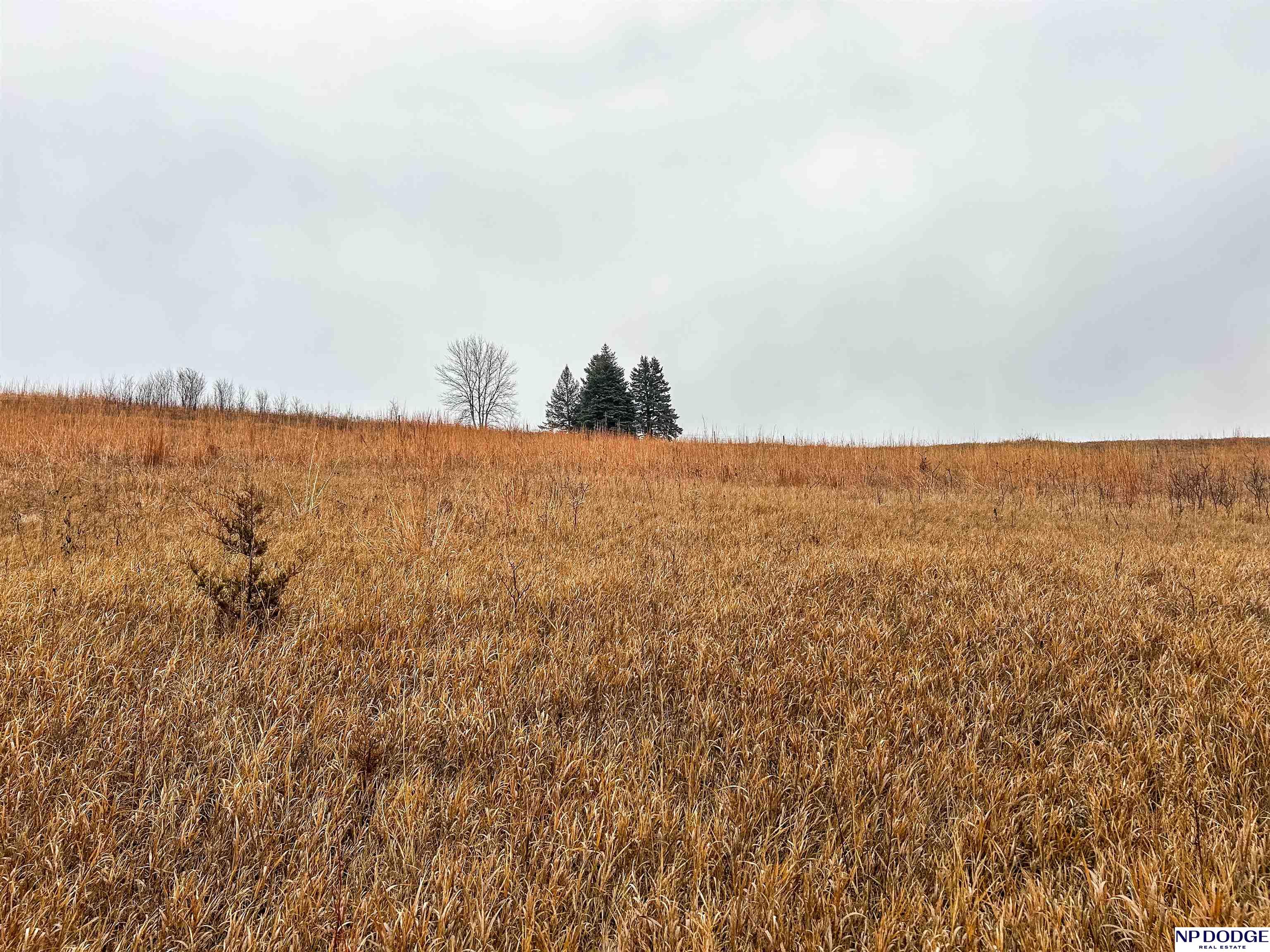 33 Acres Co Rd 14, Blair, Nebraska image 27