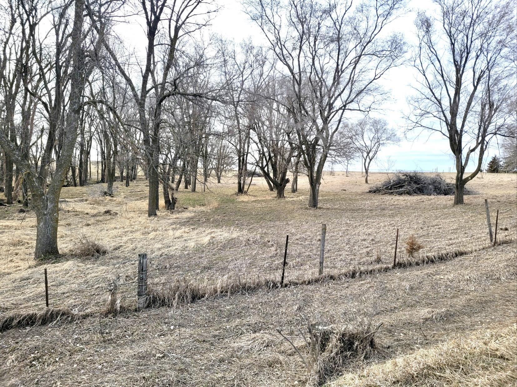 D County Road, Crete, Nebraska image 4