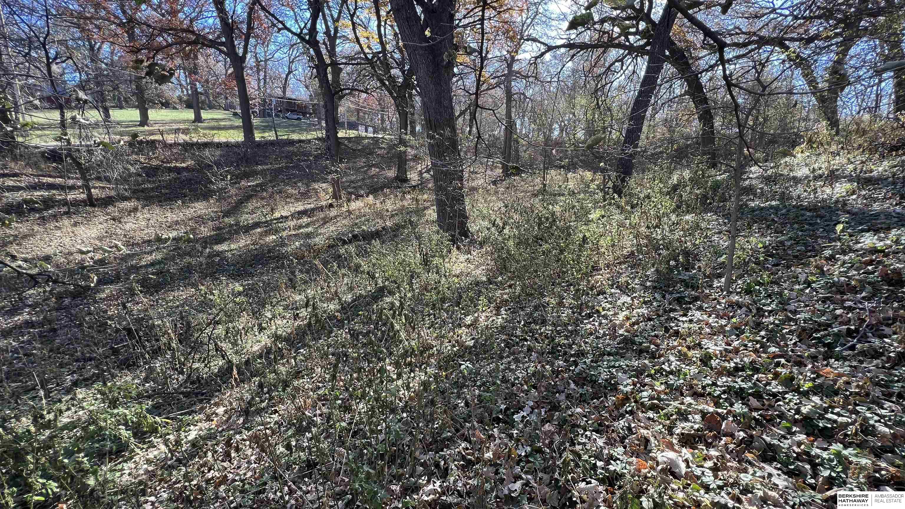4412 Young Street, Omaha, Nebraska image 12