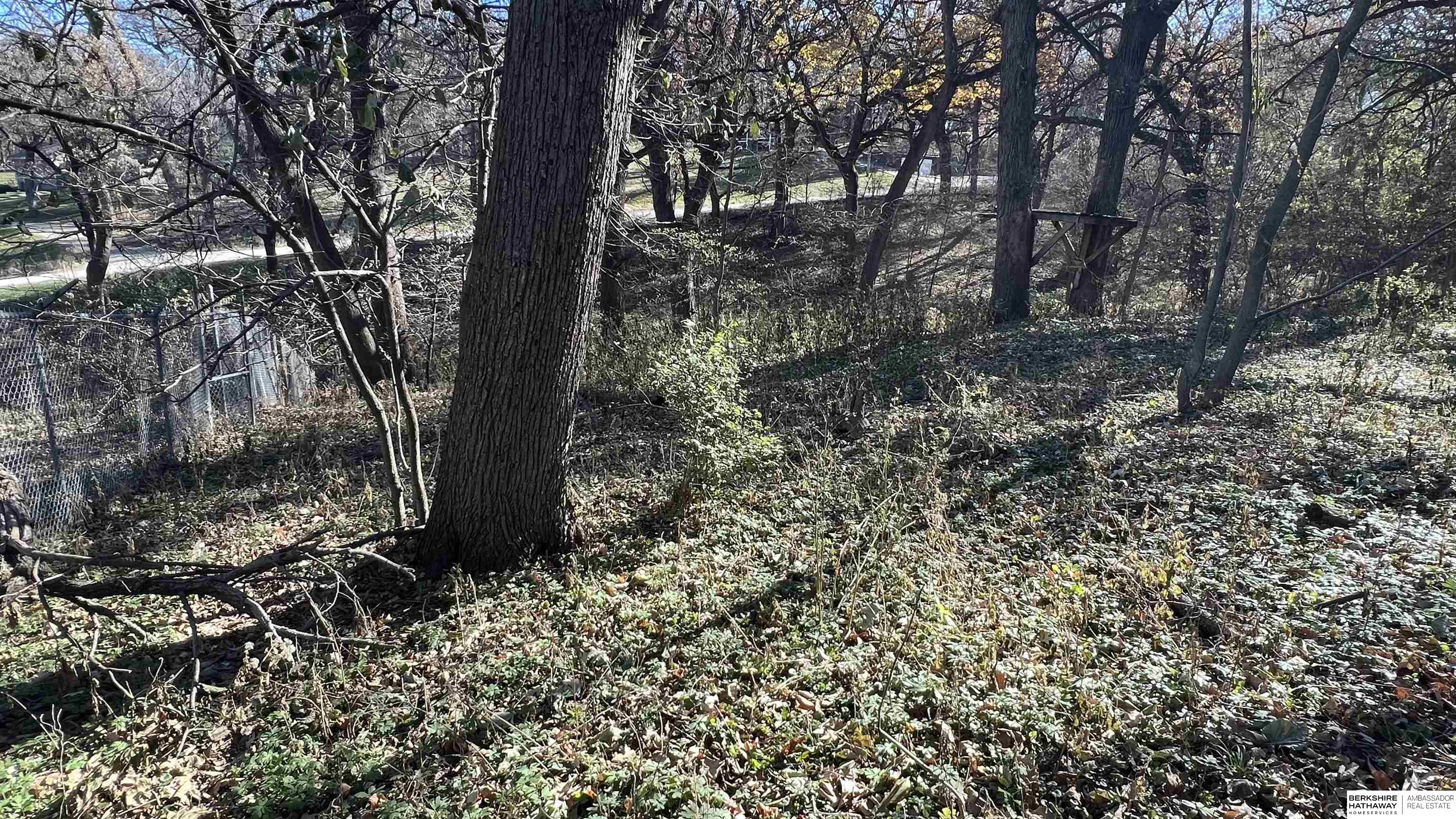 4412 Young Street, Omaha, Nebraska image 5