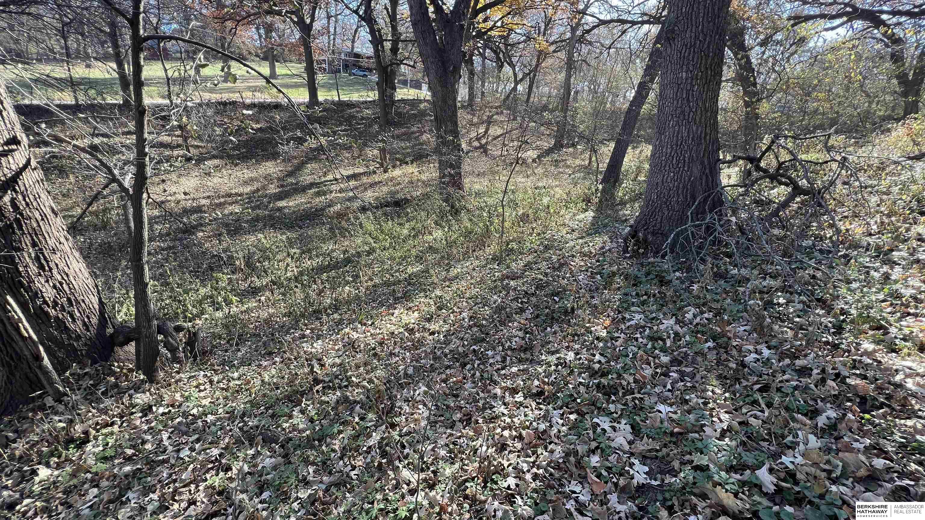 4412 Young Street, Omaha, Nebraska image 6