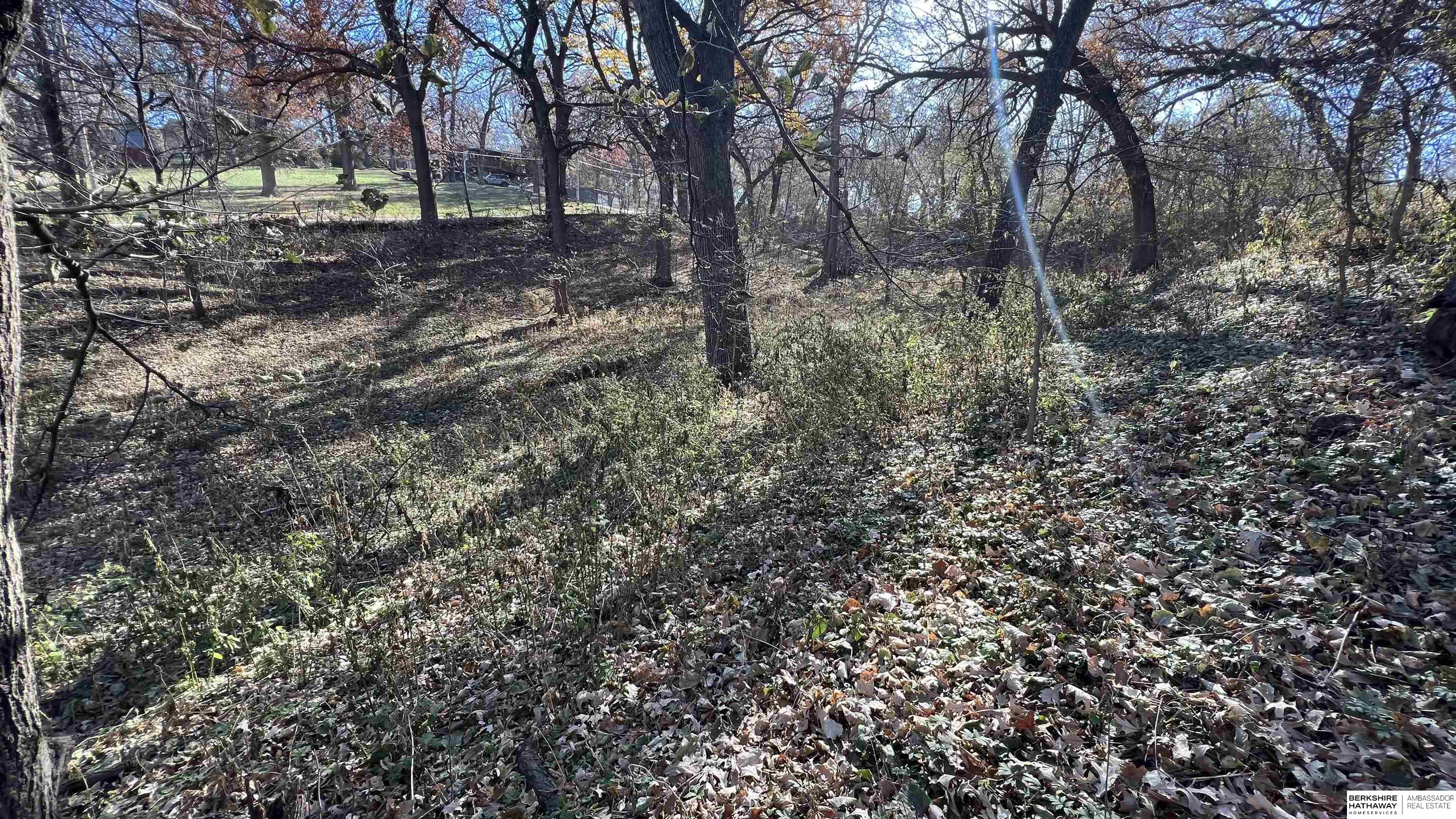 4412 Young Street, Omaha, Nebraska image 7