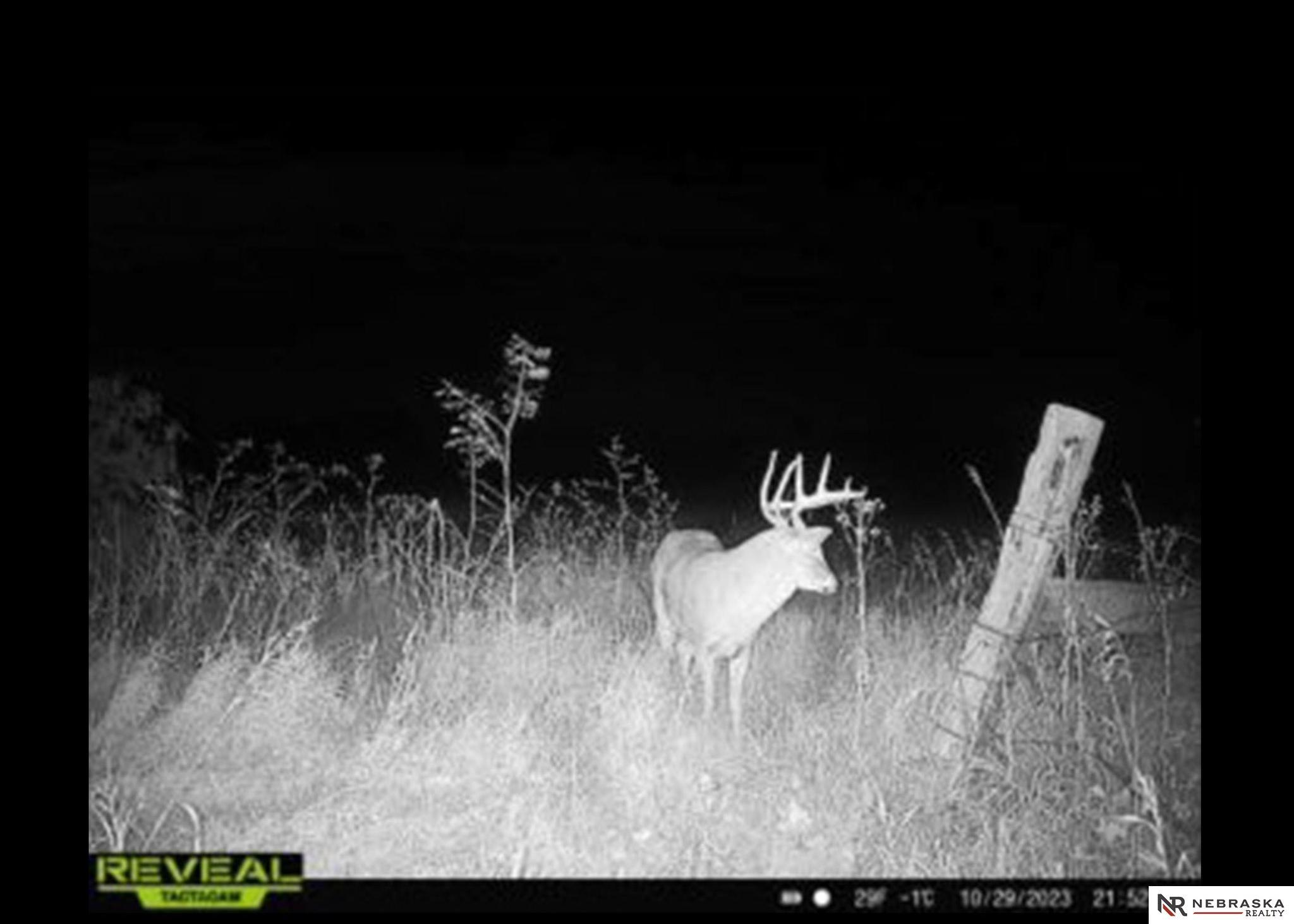 1450 N 4th Road, Eagle, Nebraska image 16