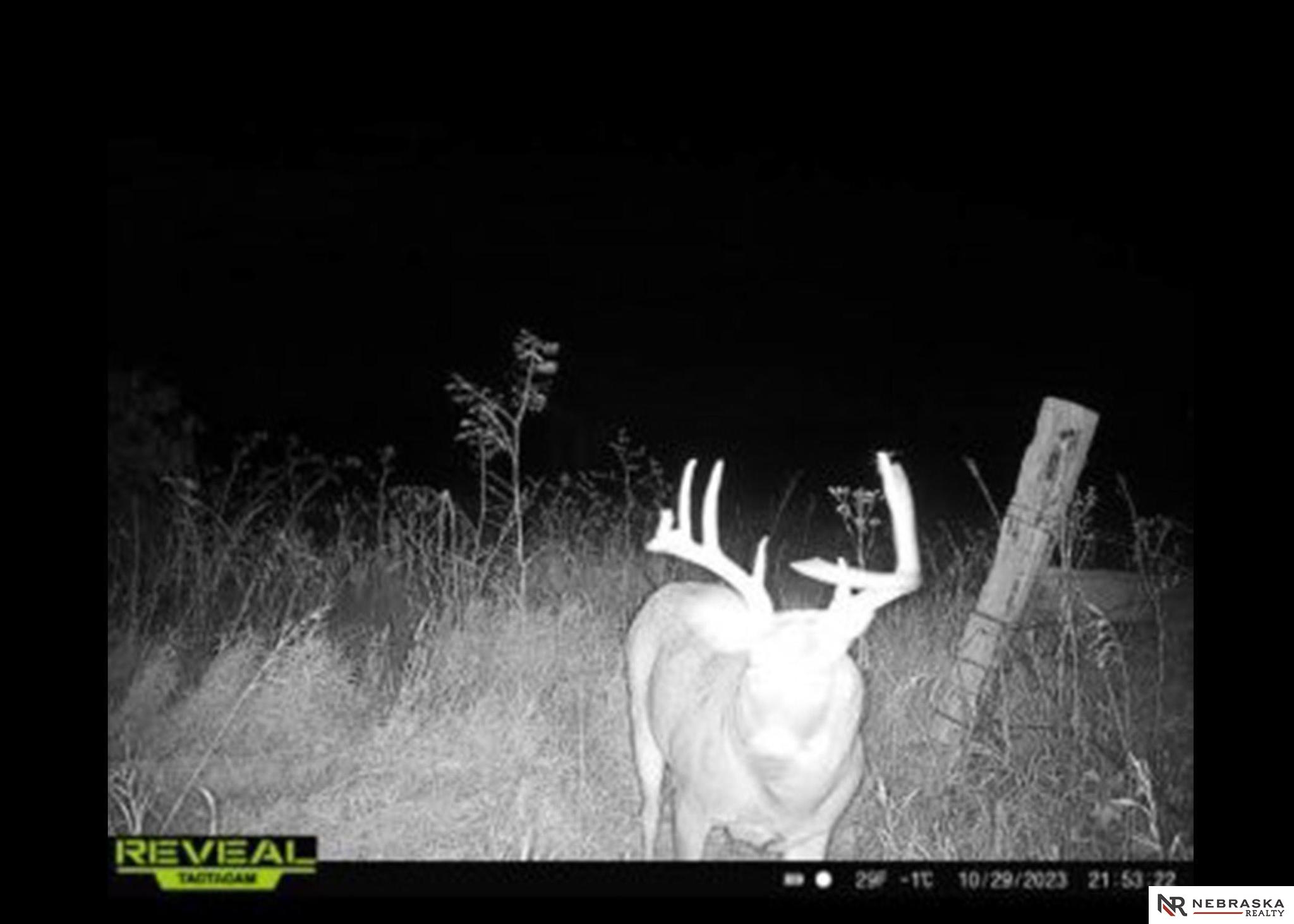 1450 N 4th Road, Eagle, Nebraska image 17