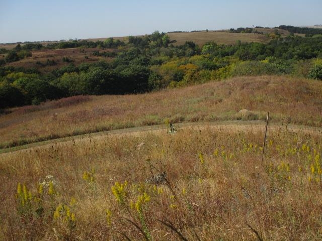 70565 Hwy 15 Highway, Fairbury, Nebraska image 18