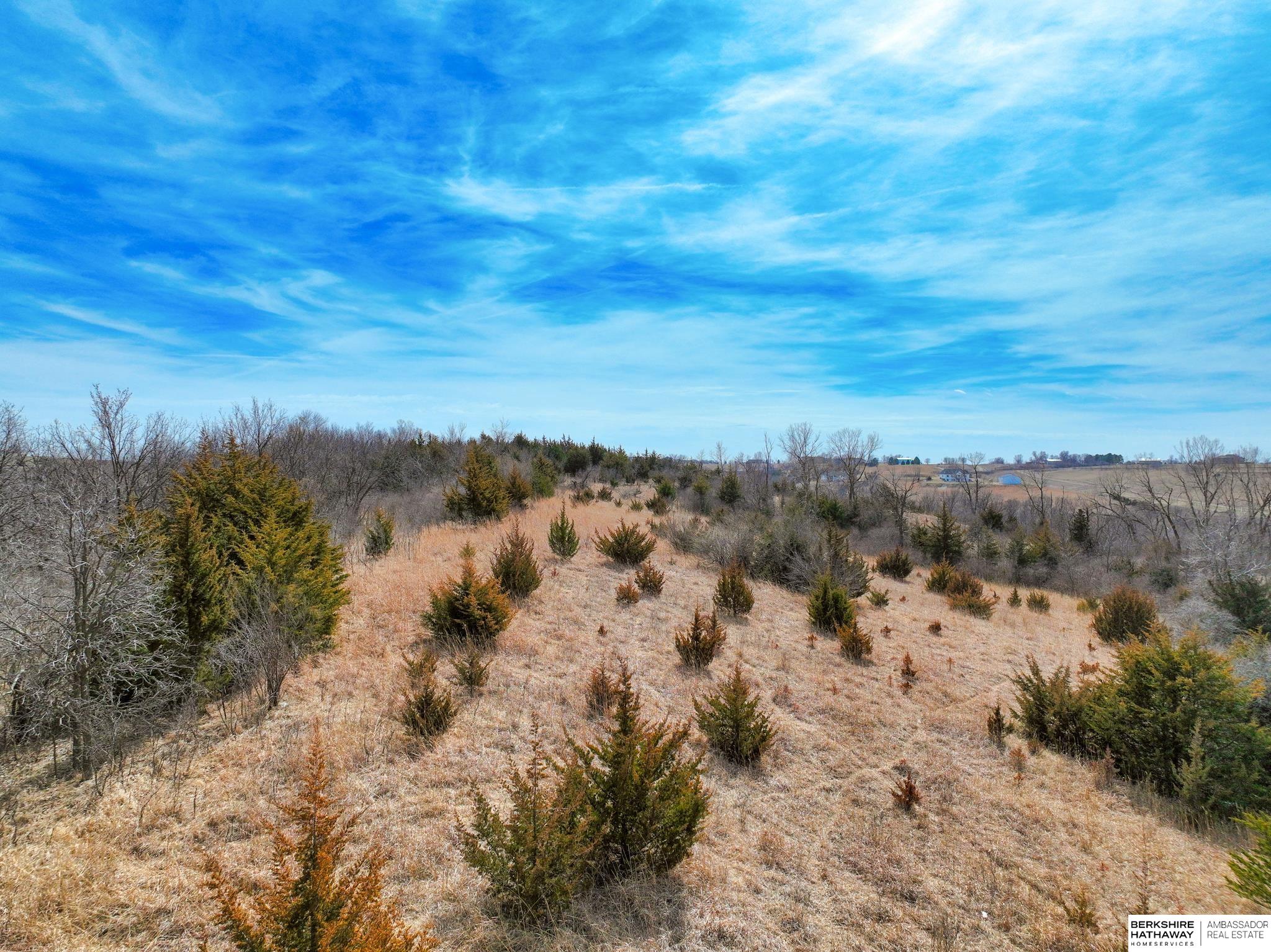 40 Acres Tbd County Road 33, Blair, Nebraska image 5