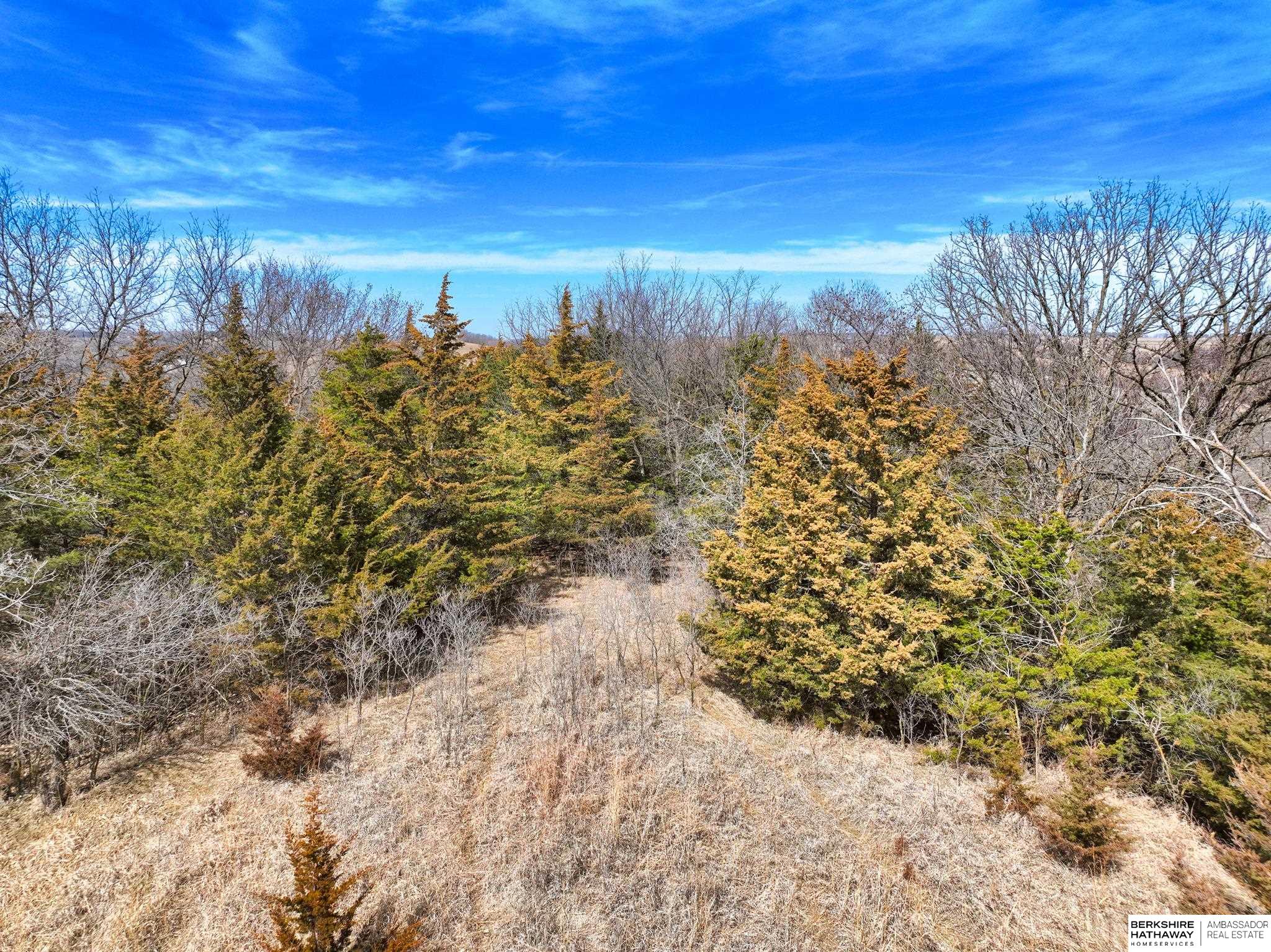 40 Acres Tbd County Road 33, Blair, Nebraska image 6