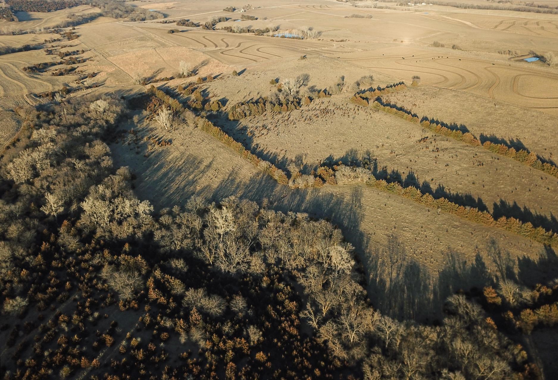 N 50 No Situs S 16th Road, Unadilla, Nebraska image 16