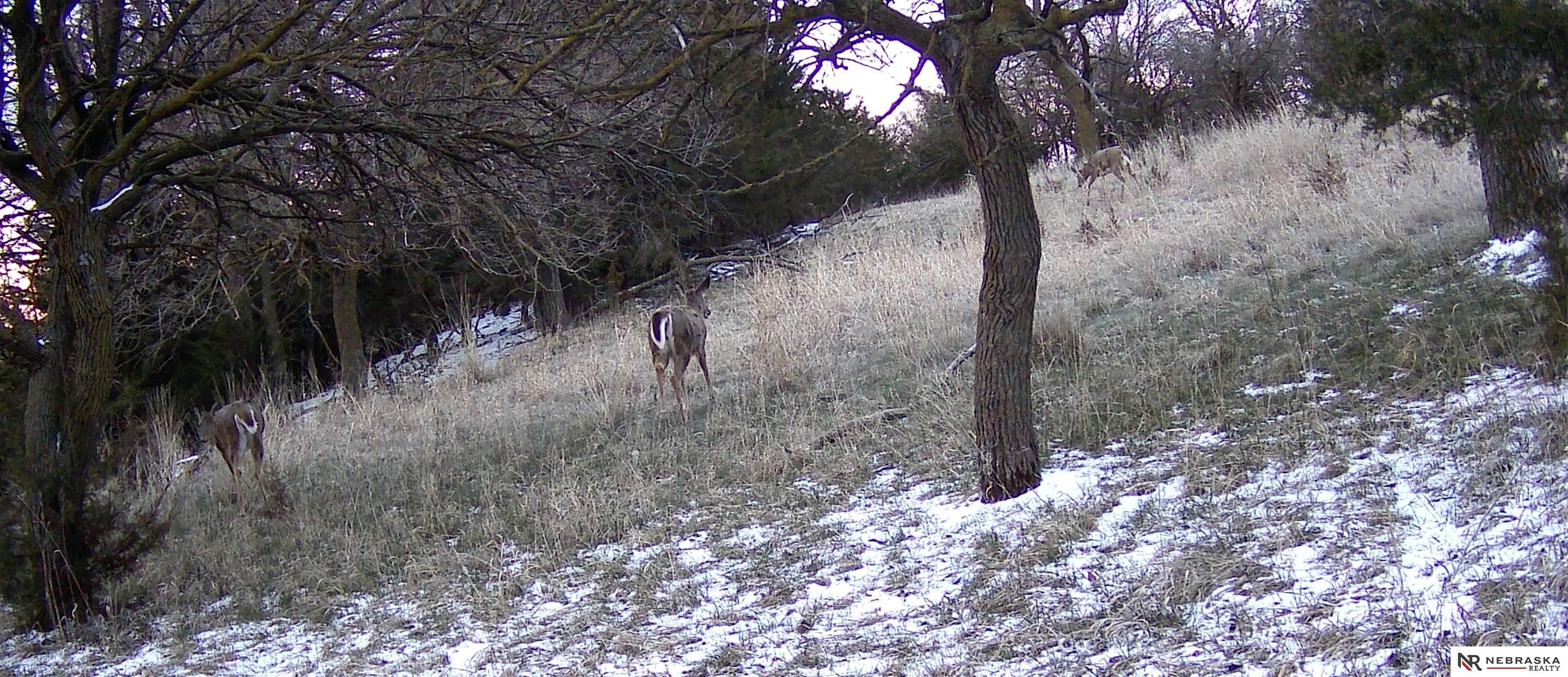 0000 Agnew Road, Garland, Nebraska image 22