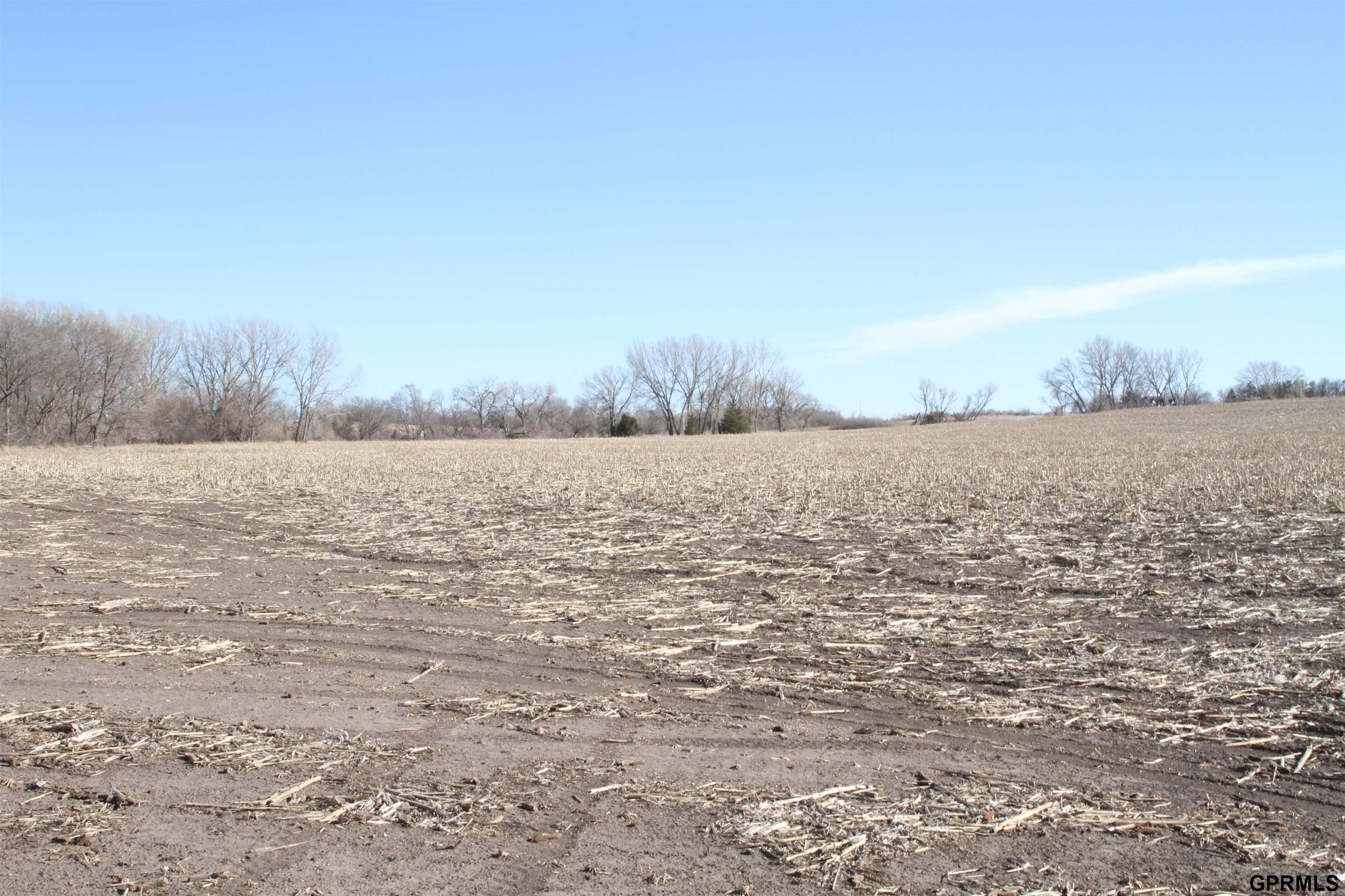 518 Courtyard Court, Ashland, Nebraska image 42