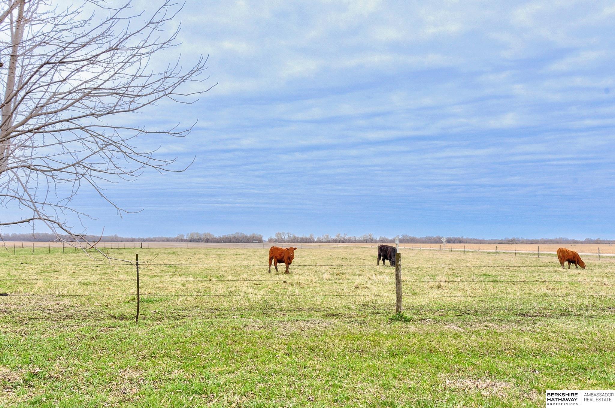 1356 County Road 24, Nickerson, Nebraska image 6