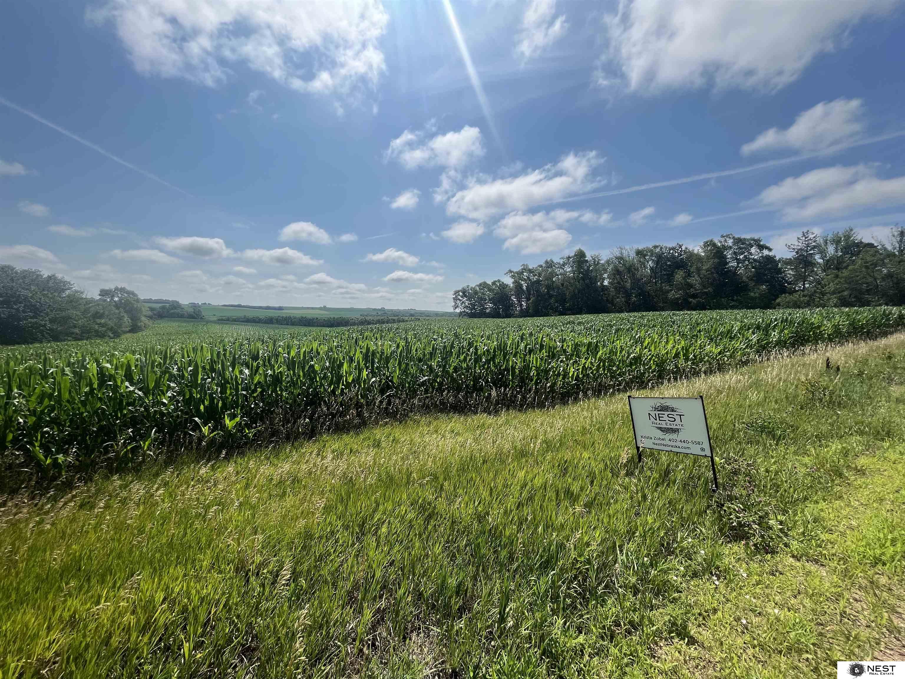 9 Acres Cty Rd 20, Wahoo, Nebraska image 2