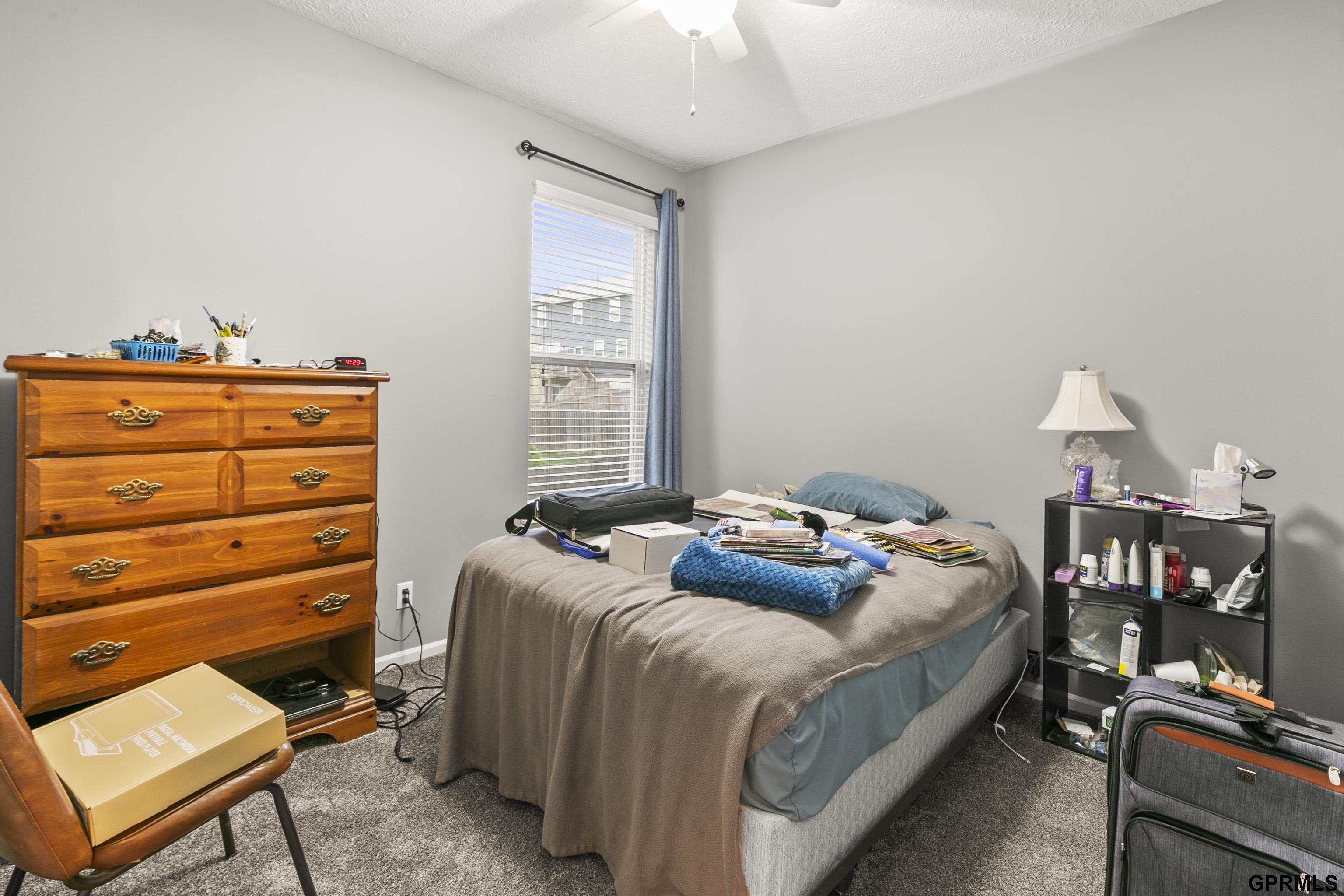2502 Hummingbird Circle, Bellevue, Nebraska image 21