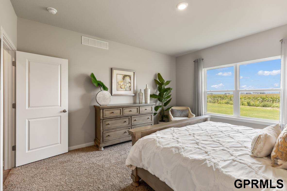 6415 Harvest Drive, Papillion, Nebraska image 14