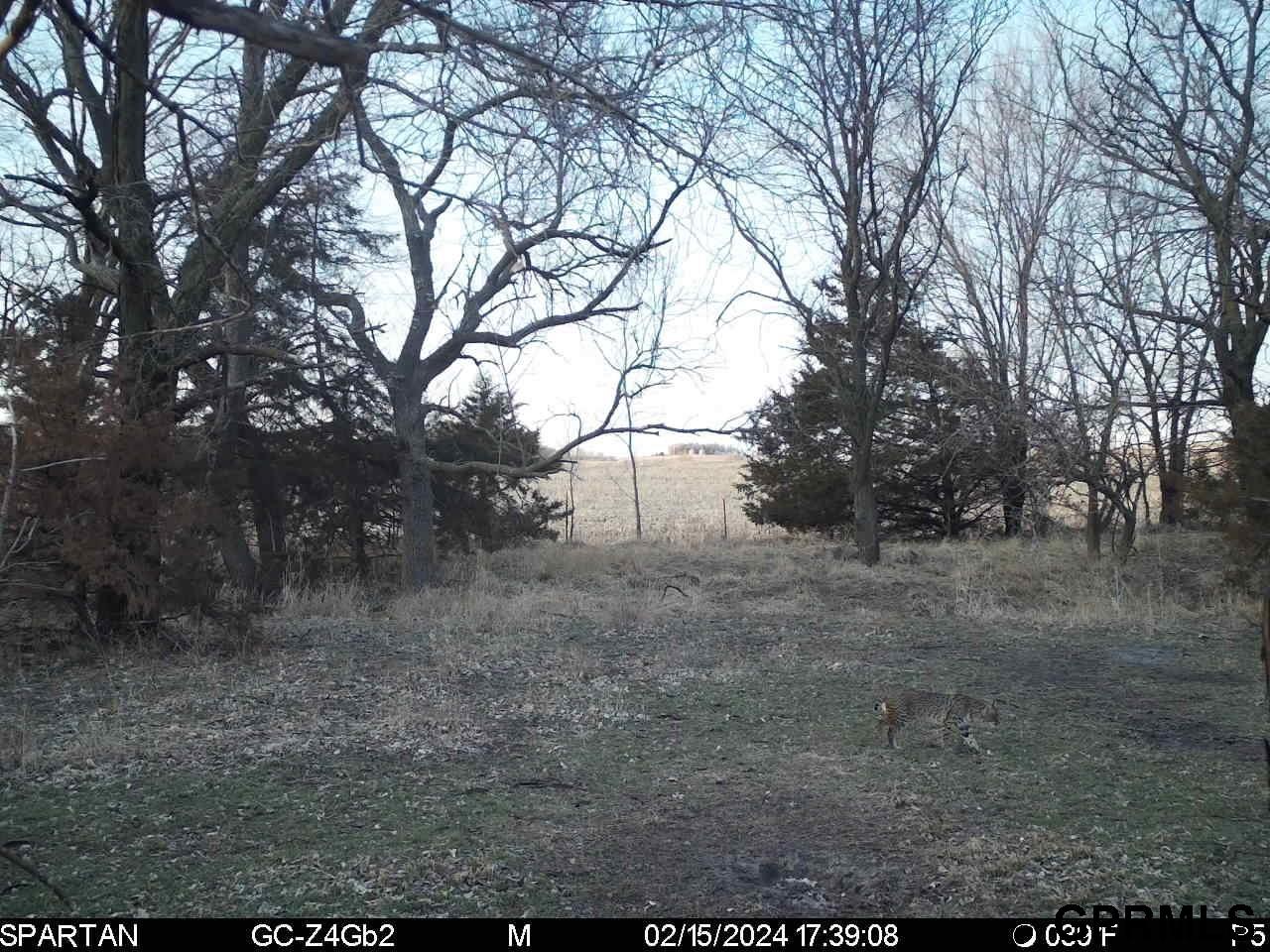 0000 County Rd D County Road, Palmyra, Nebraska image 22
