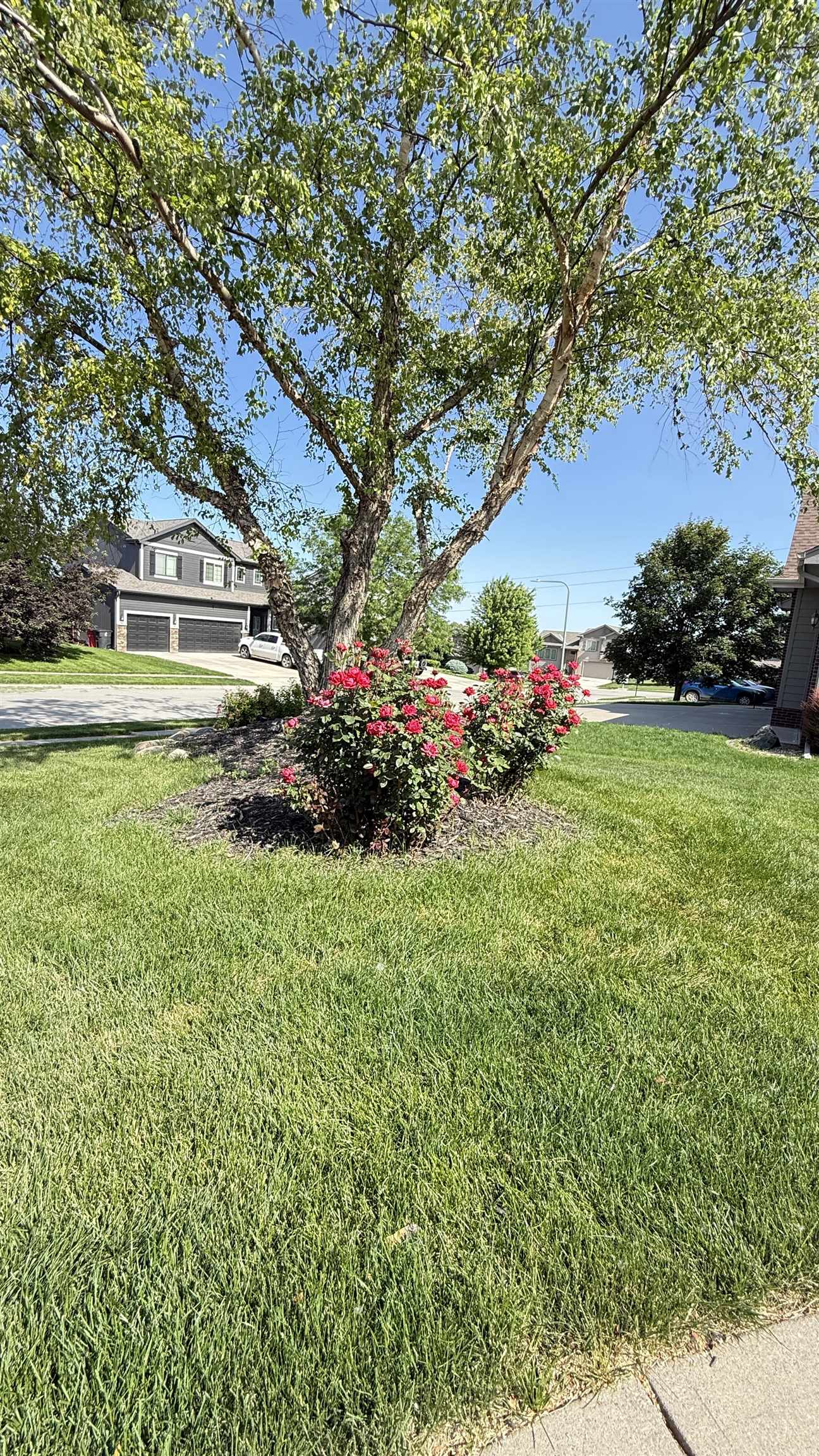 9209 S 170th Street, Omaha, Nebraska image 11