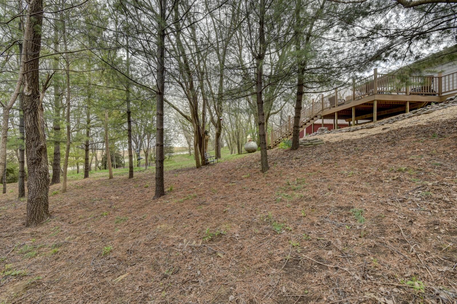 10032 Kings Drive, Omaha, Nebraska image 46