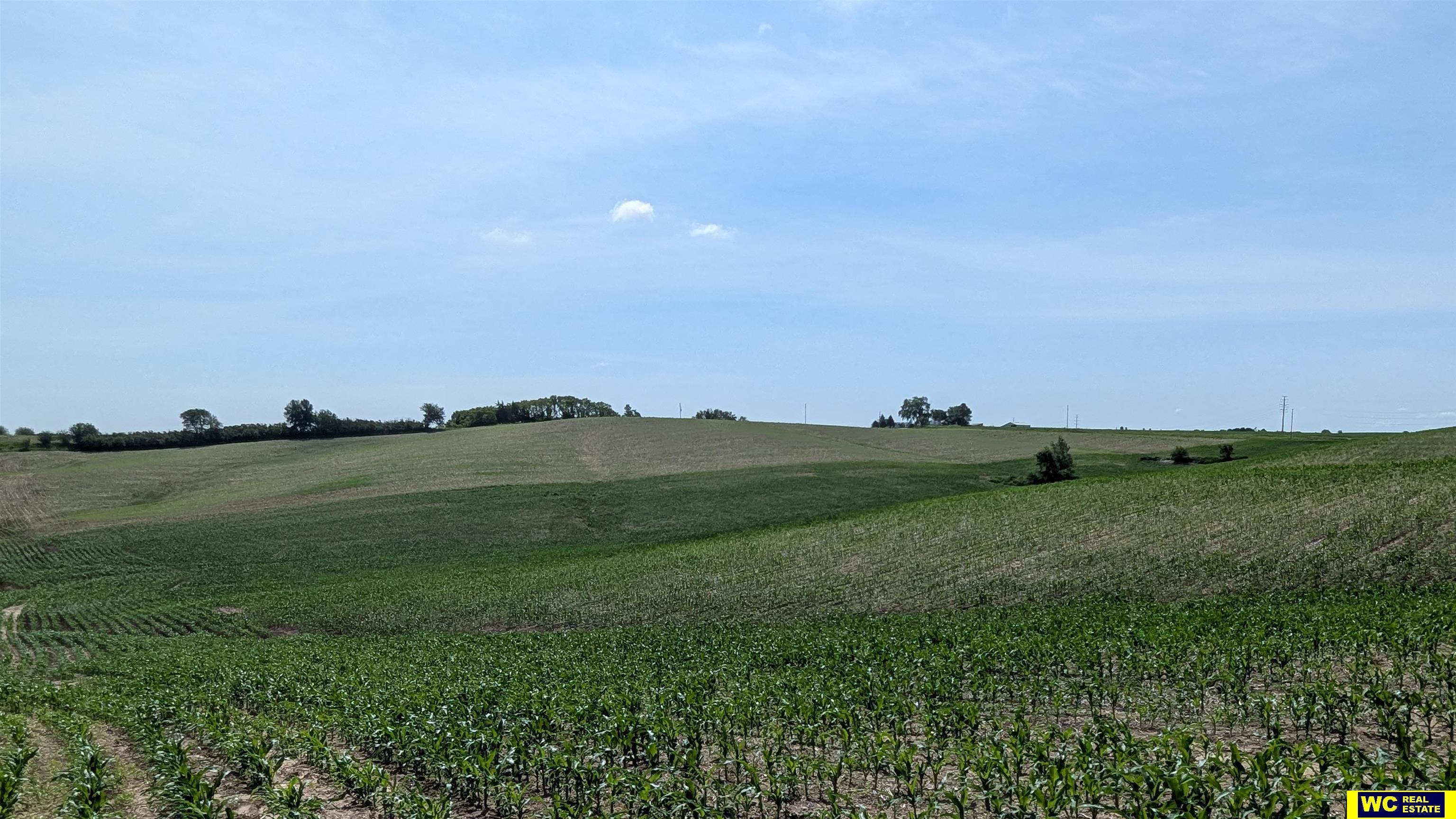 Tract 5 County Road 22, Blair, Nebraska image 9