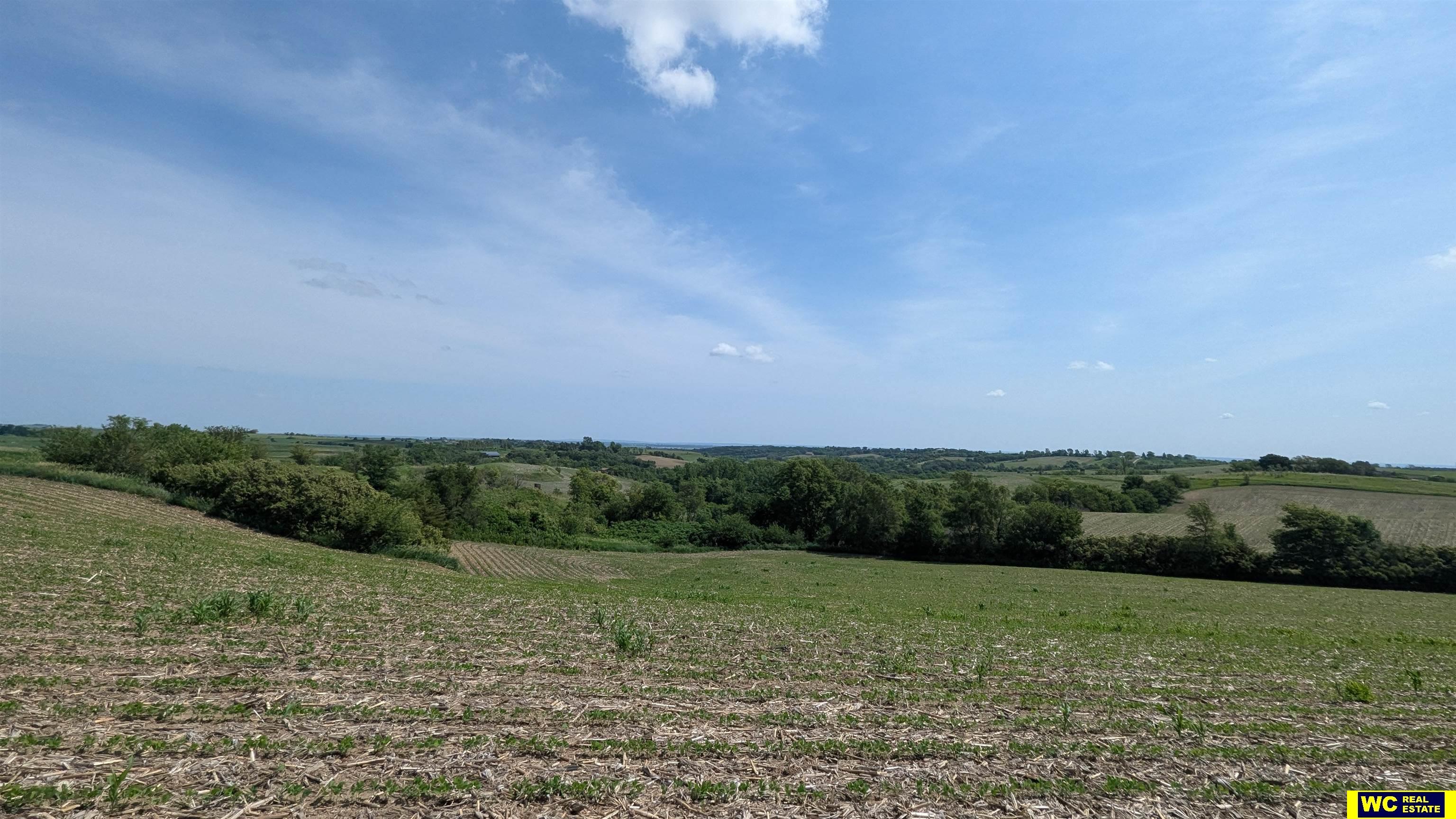 Tract 6 County Road 22, Blair, Nebraska image 9