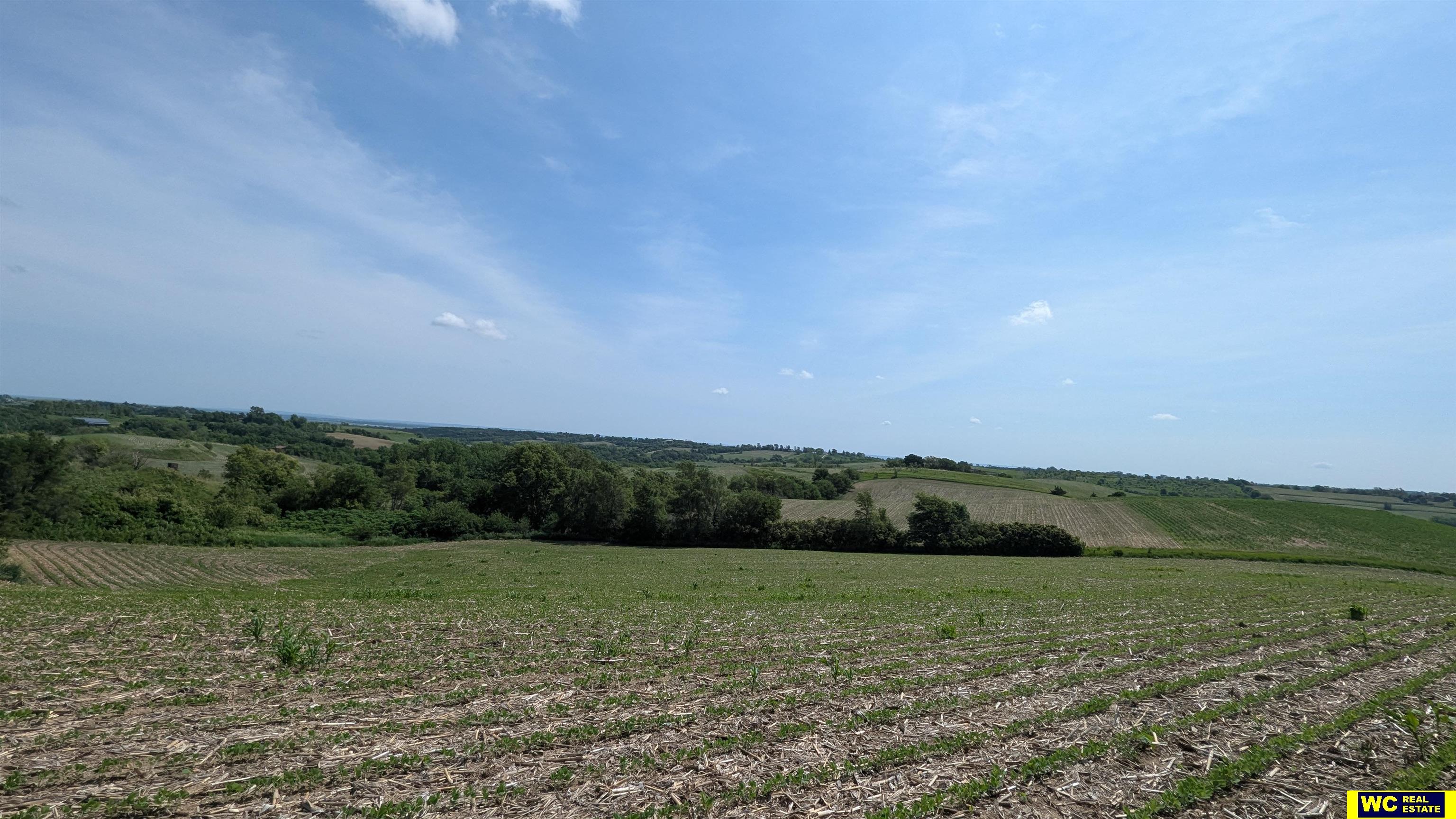 Tract 6 County Road 22, Blair, Nebraska image 10