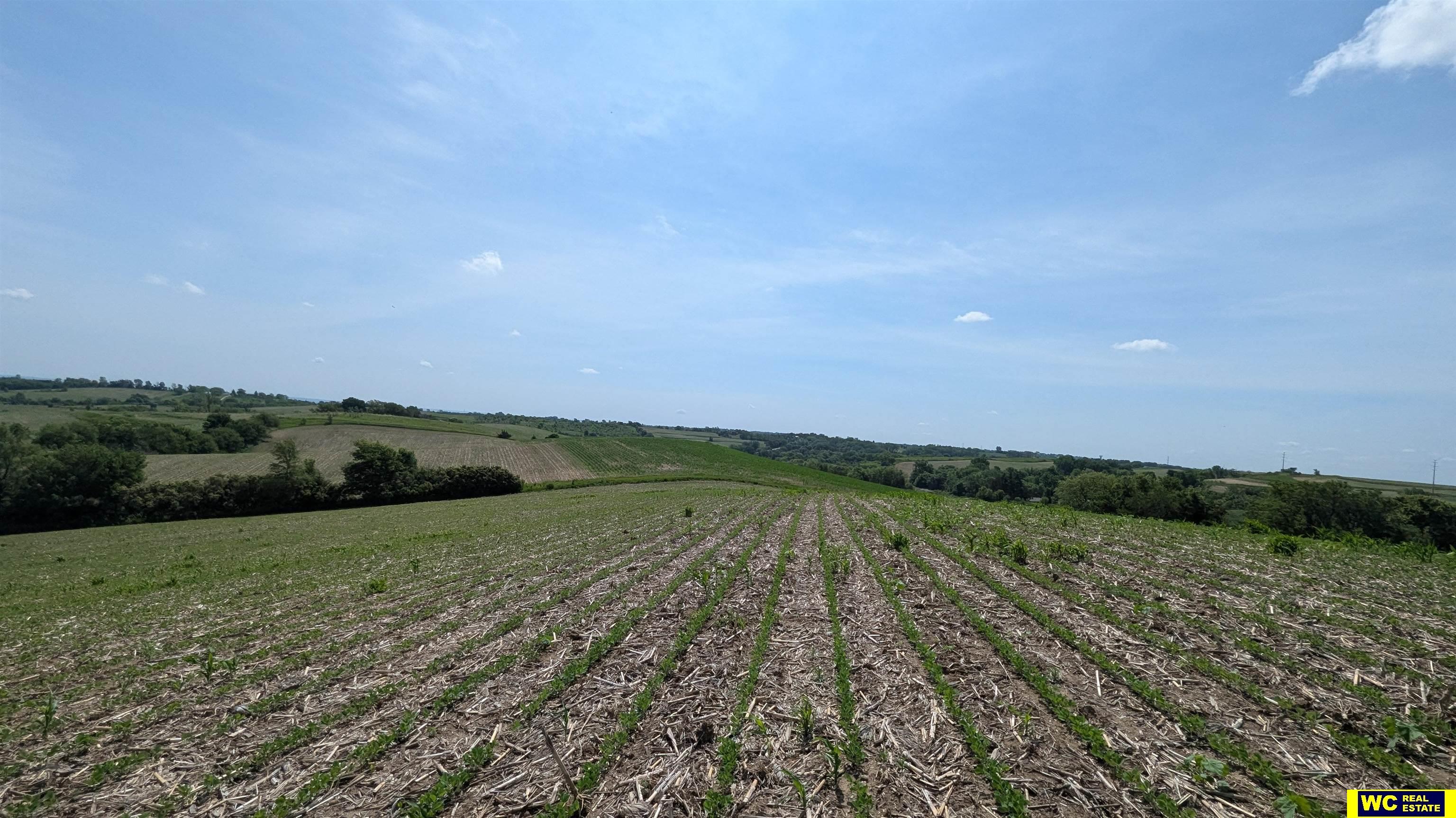 Tract 7 County Road 22, Blair, Nebraska image 8